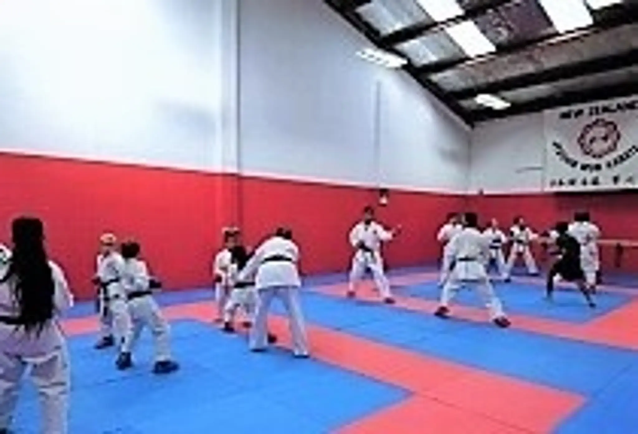 Jyoshinmon Shorin-Ryu Karate-Do New Zealand - New Lynn