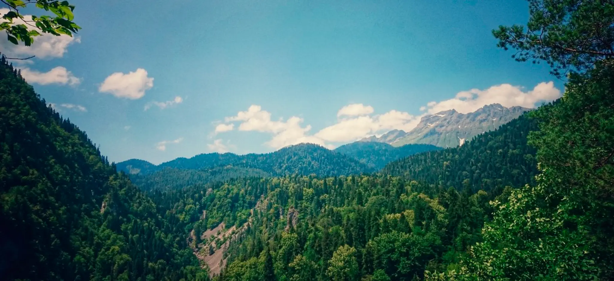 Eye Spy Yoga and Healthcare