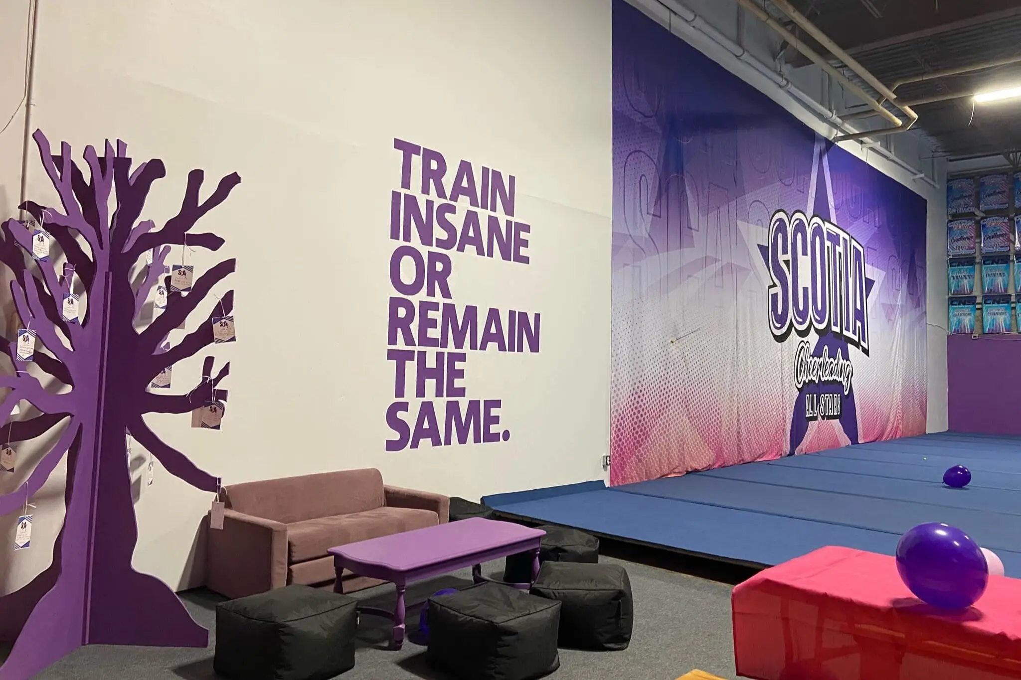 Scotia Cheer All-Stars