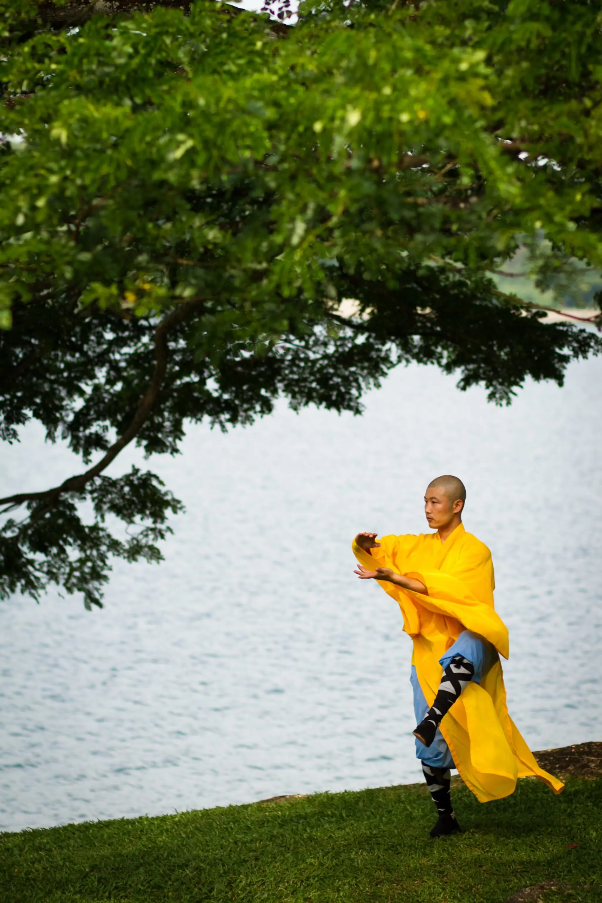 Shaolin Club Pte Ltd