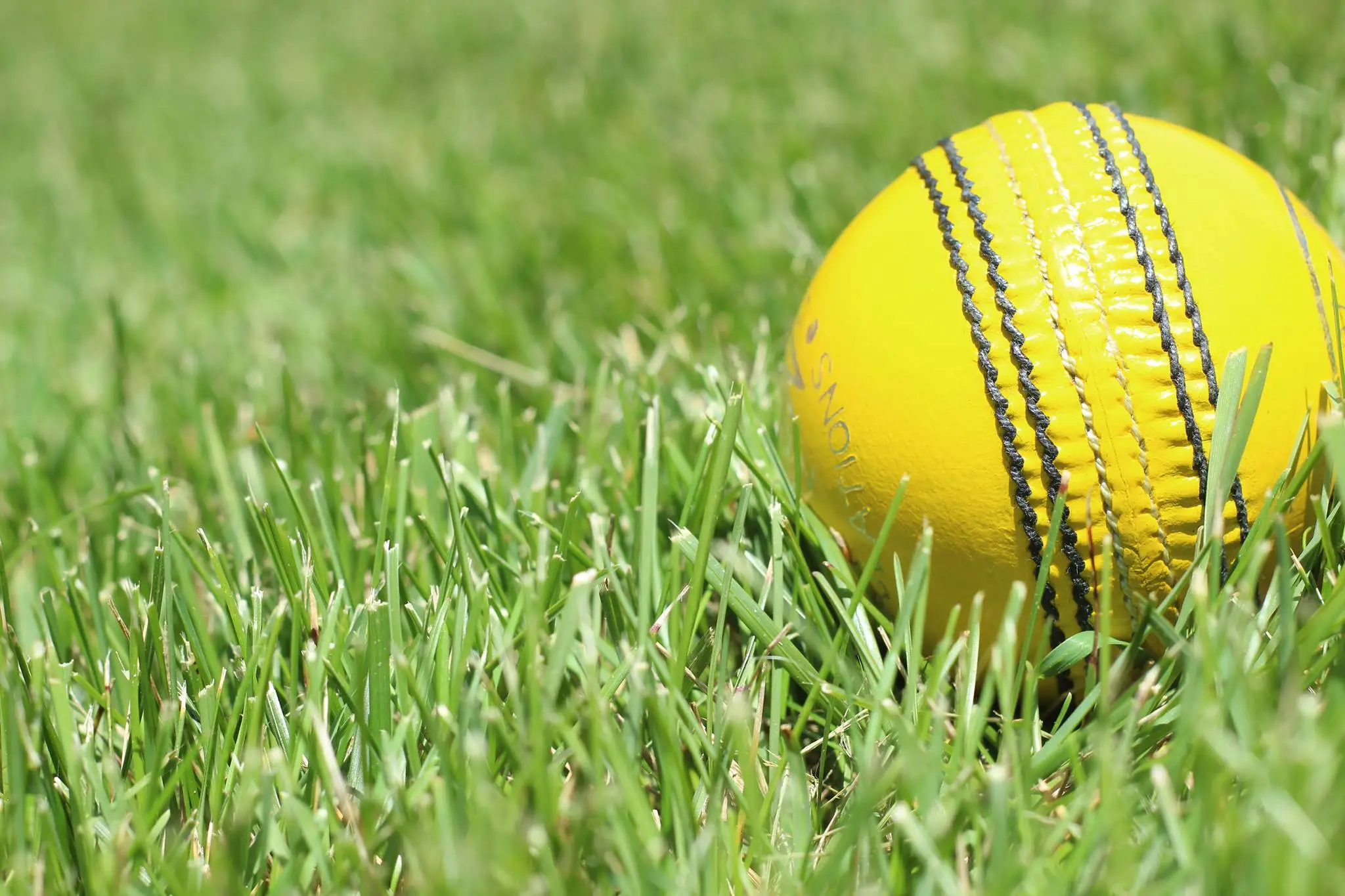 Winter cricket indoor