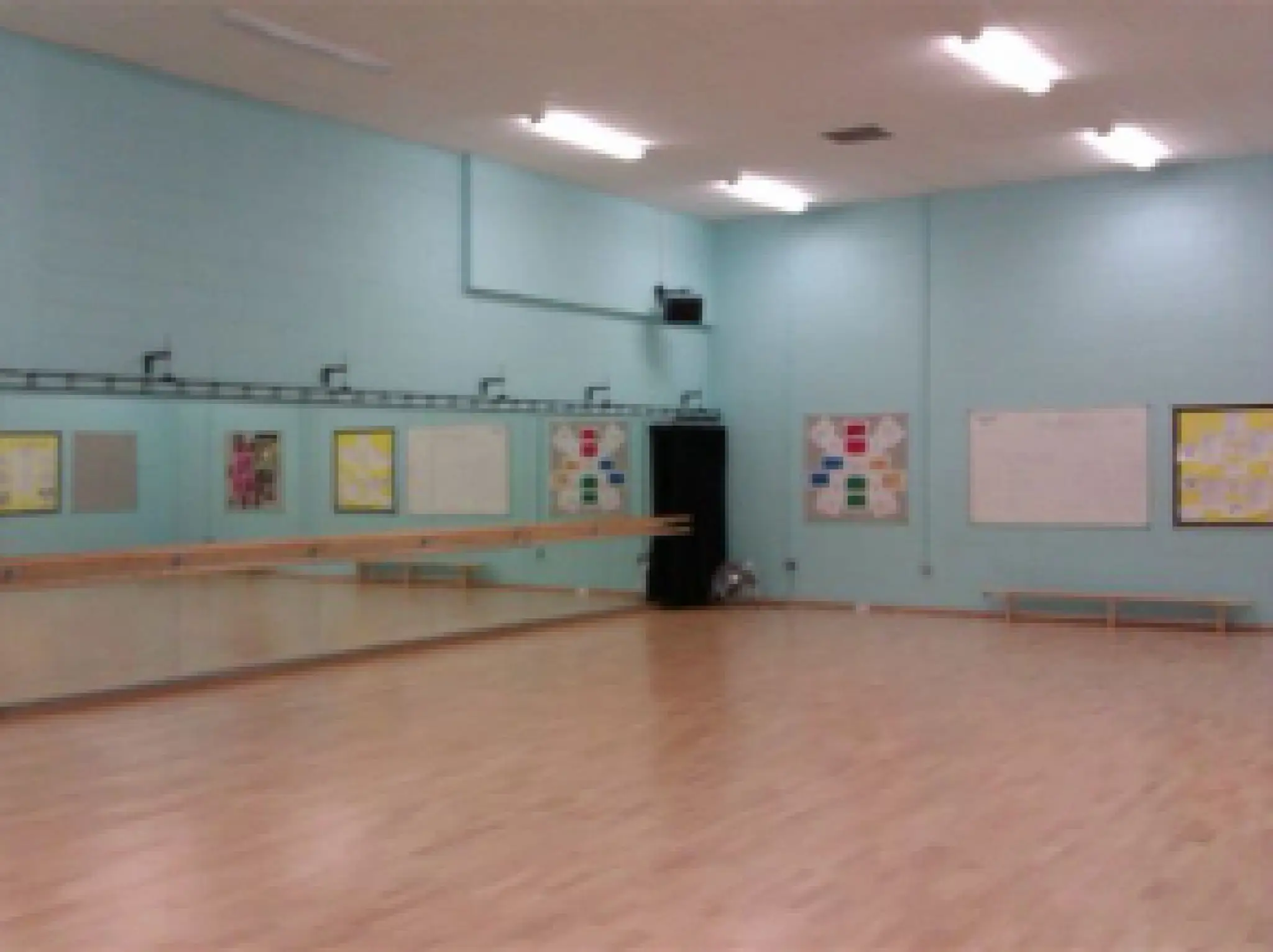 Doshinkenyukai Iaido and Jodo Sheffield