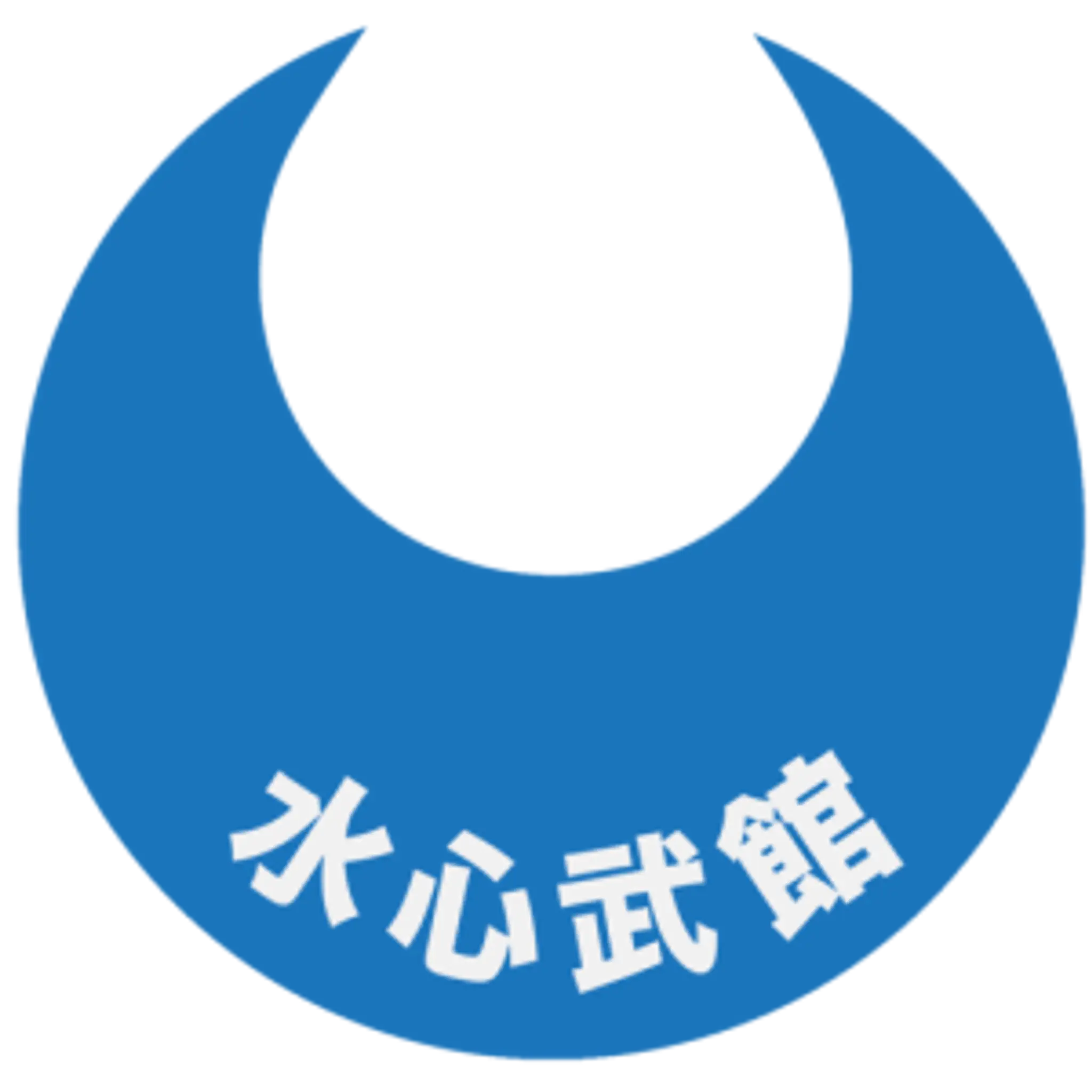 Kyushin Ryu Aikido