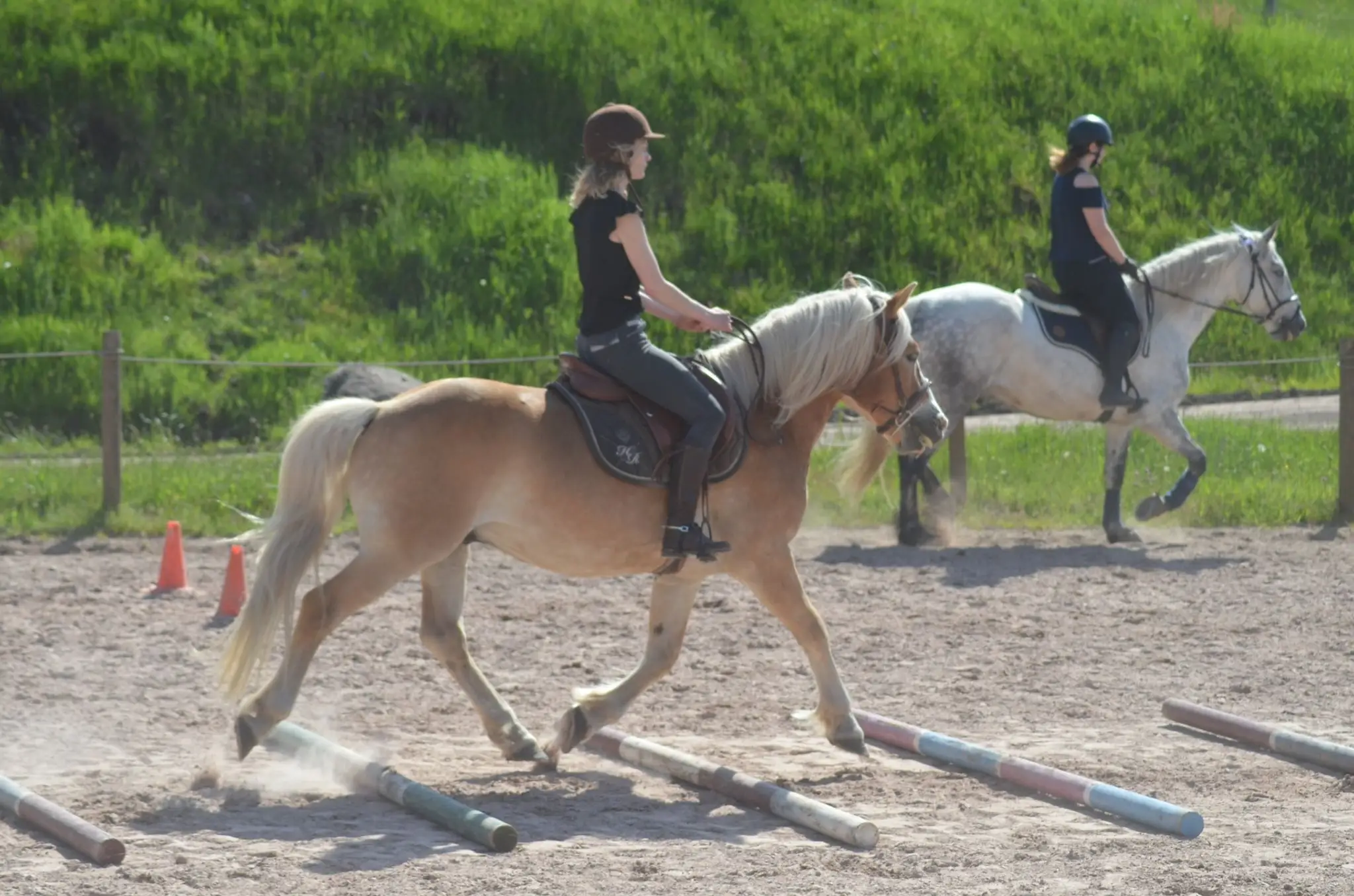 Equestrian Center La Jumenterie