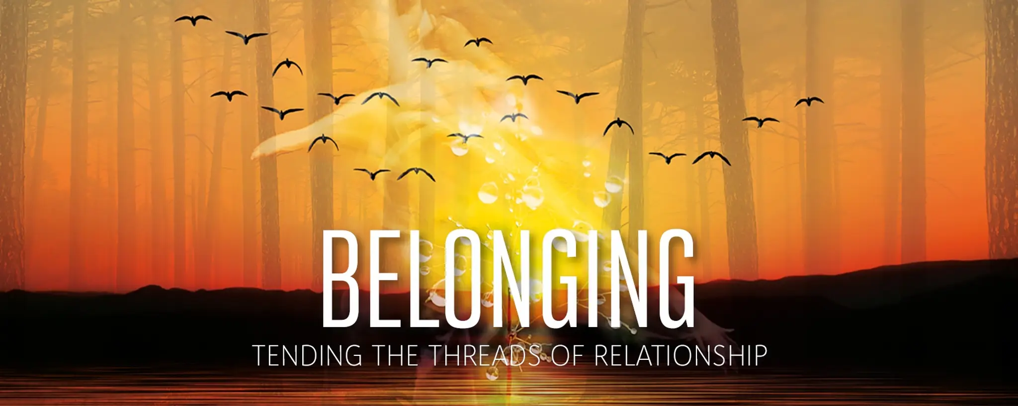 Dance Scapes - Movement as Medicine with Rosie Perks