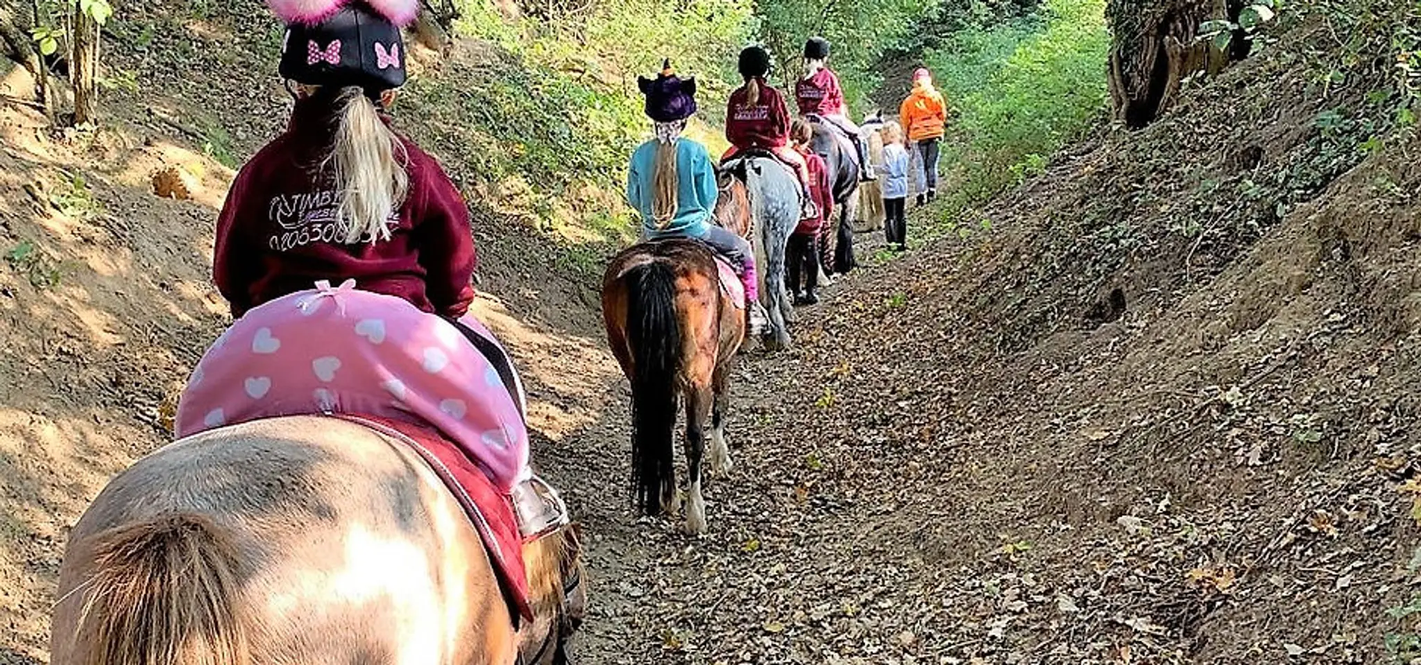 Timbertops Equestrian Centre - Riding School sidcup