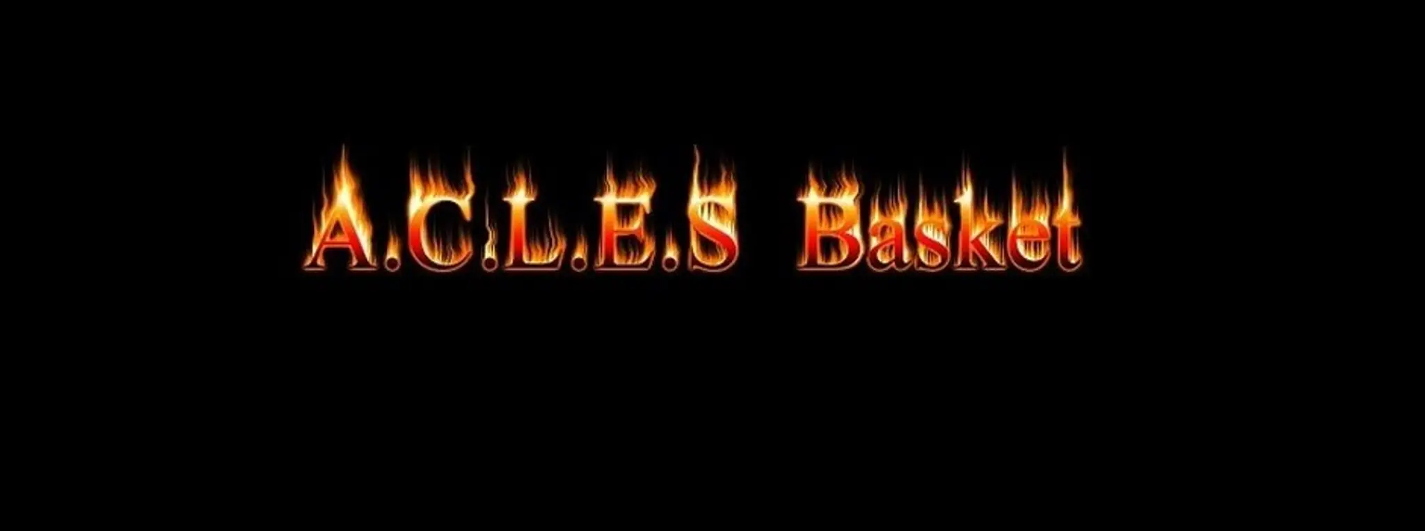 A.C.L.E.S Basket