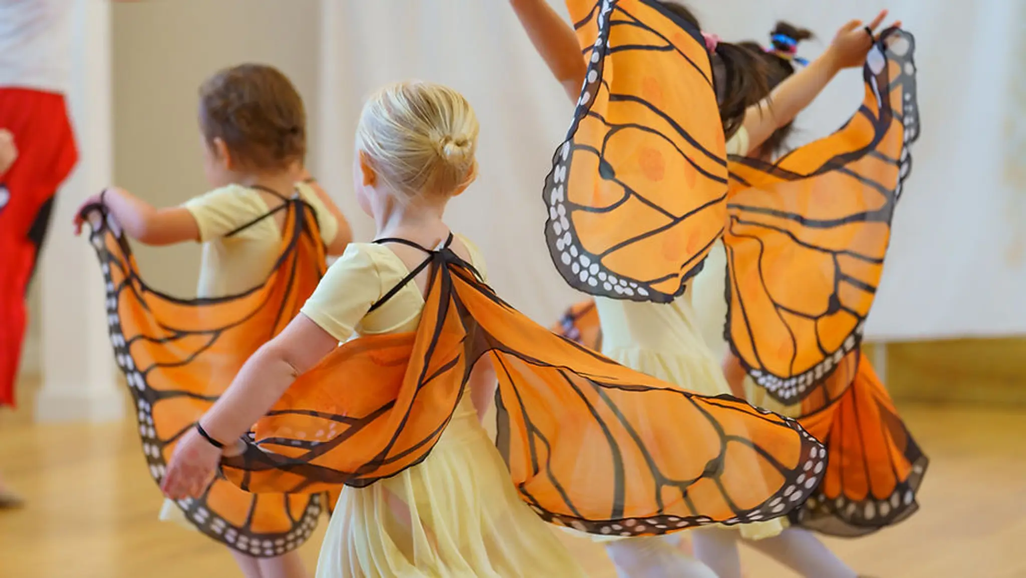 Monarch Dance Studios