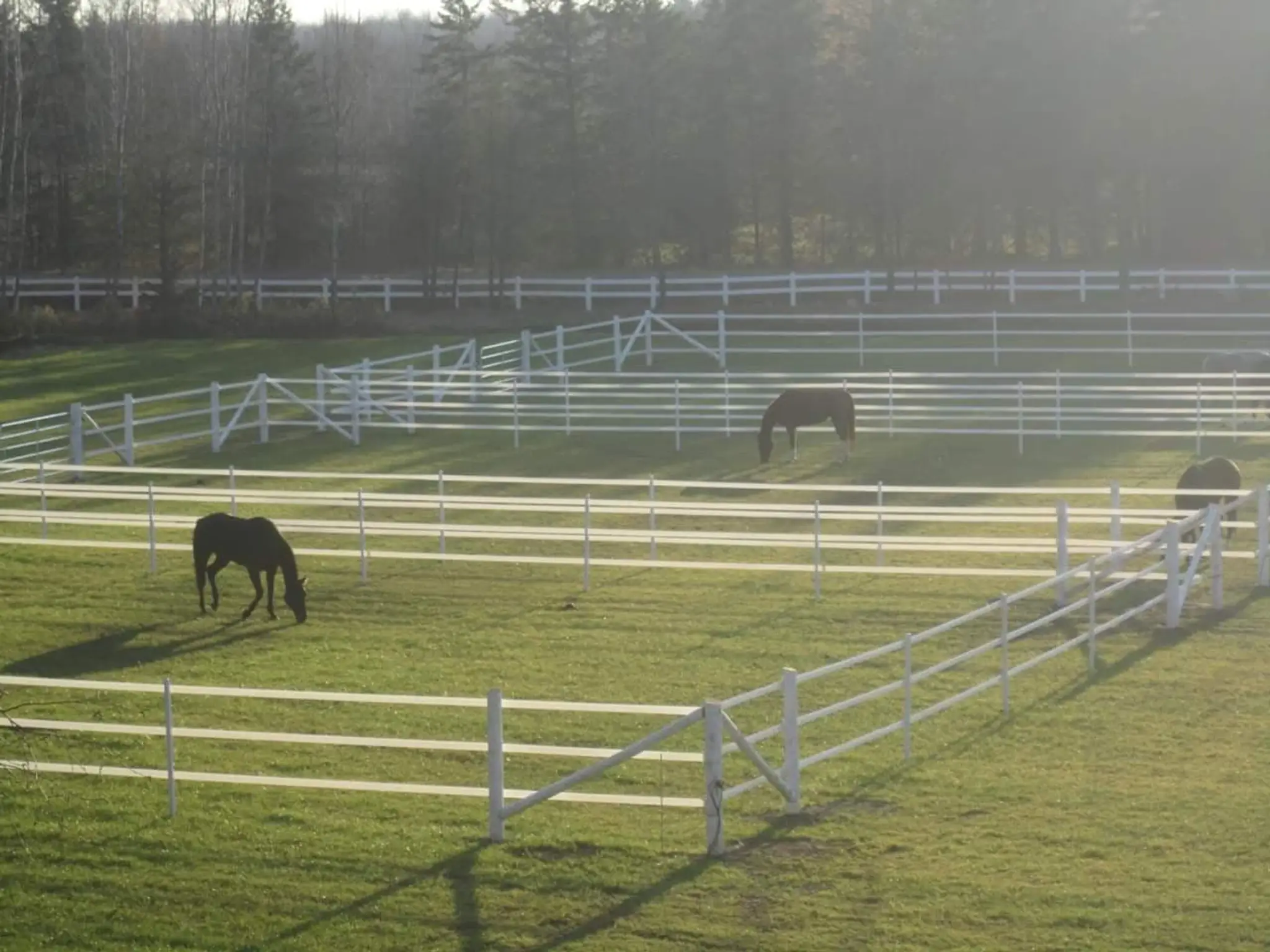 Oxford Ridge Stable