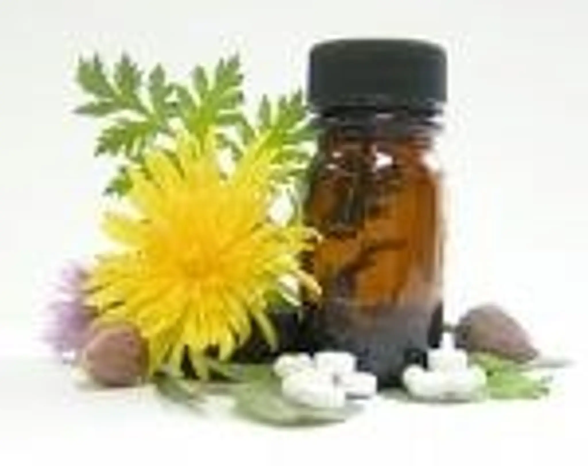 Philip Edmonds Tai Chi Qigong (Chi Kung)