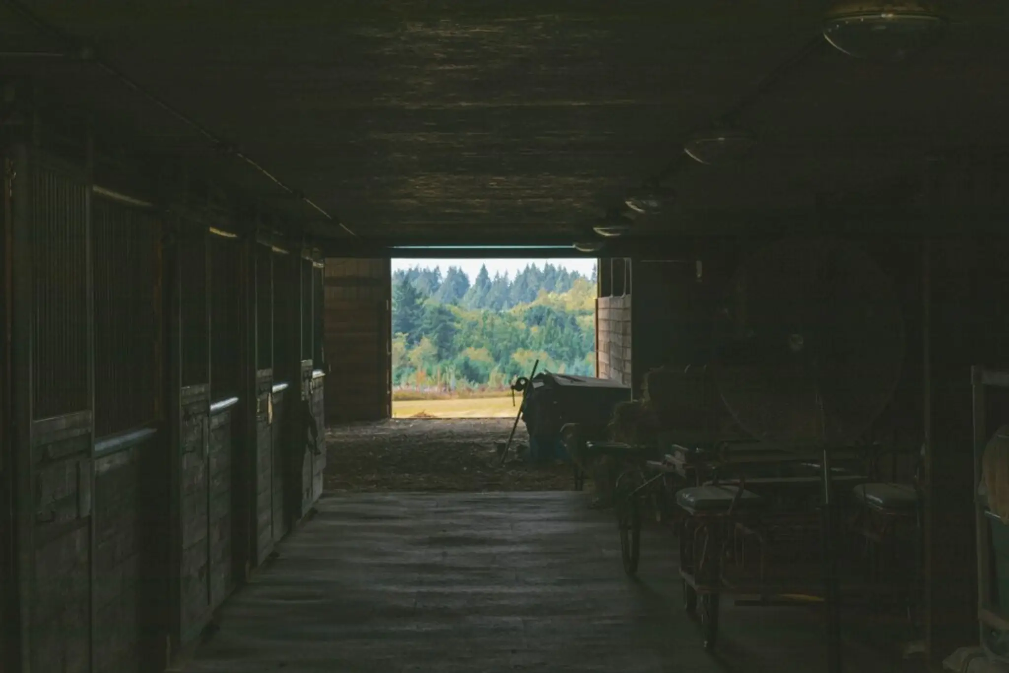 Centre Equestre De Fontmagne