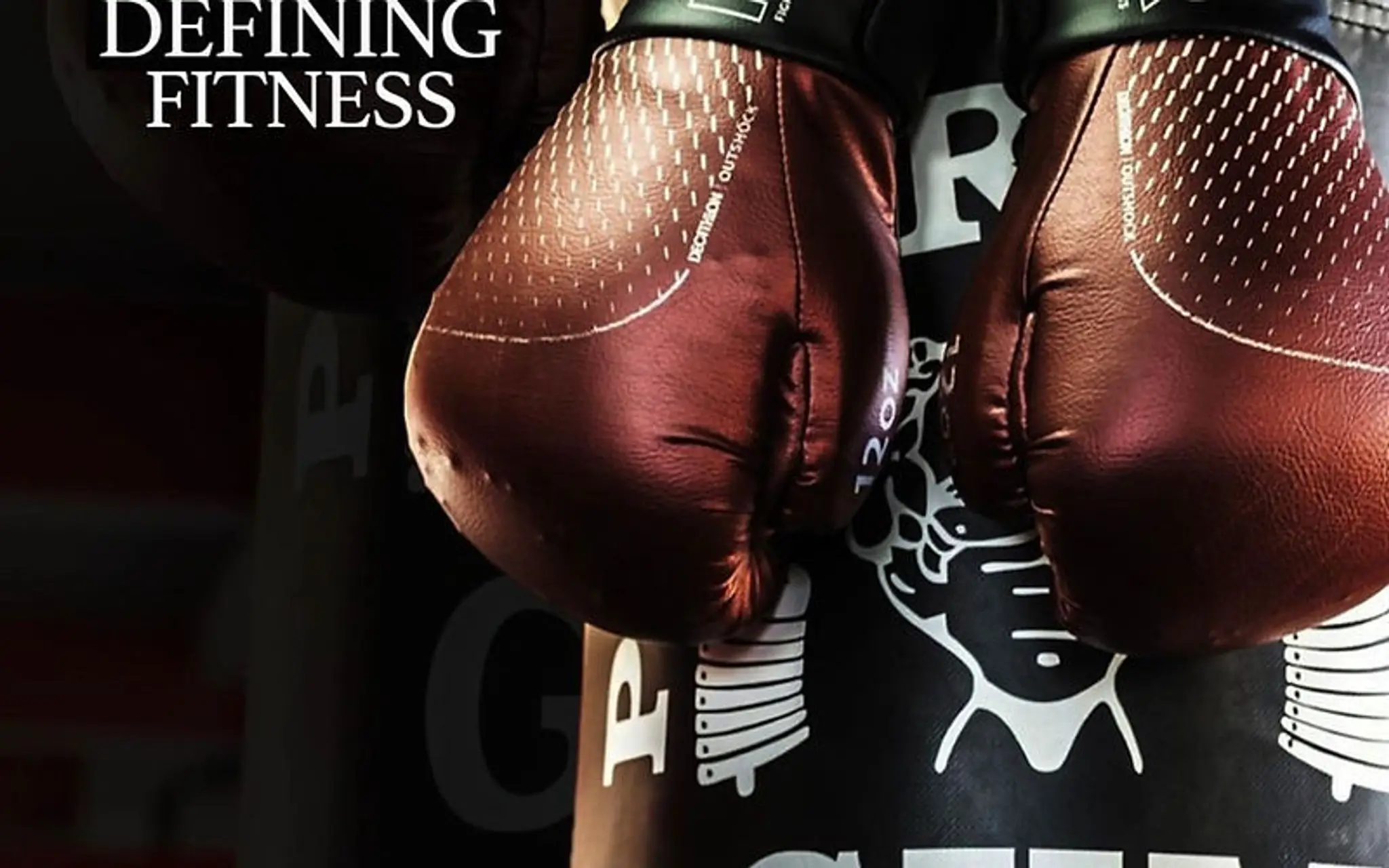 Powerhouse Gym Elite Stafford