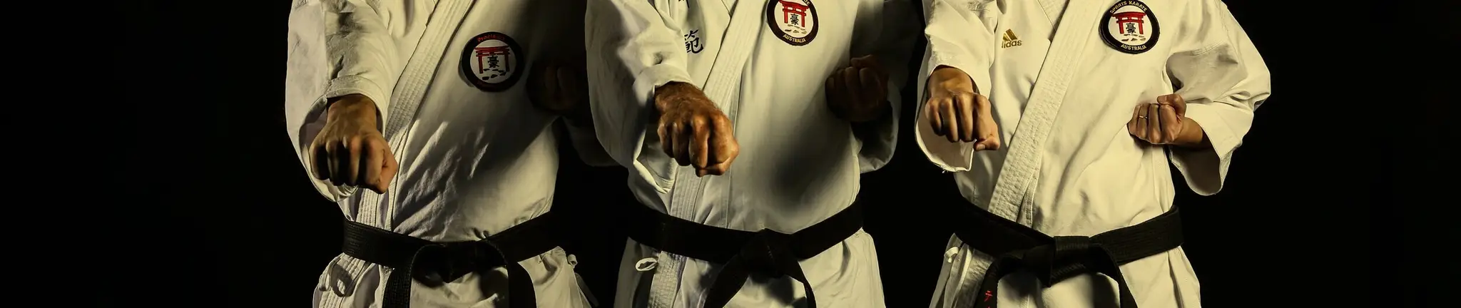 Warren Hickeys Precision Martial Arts