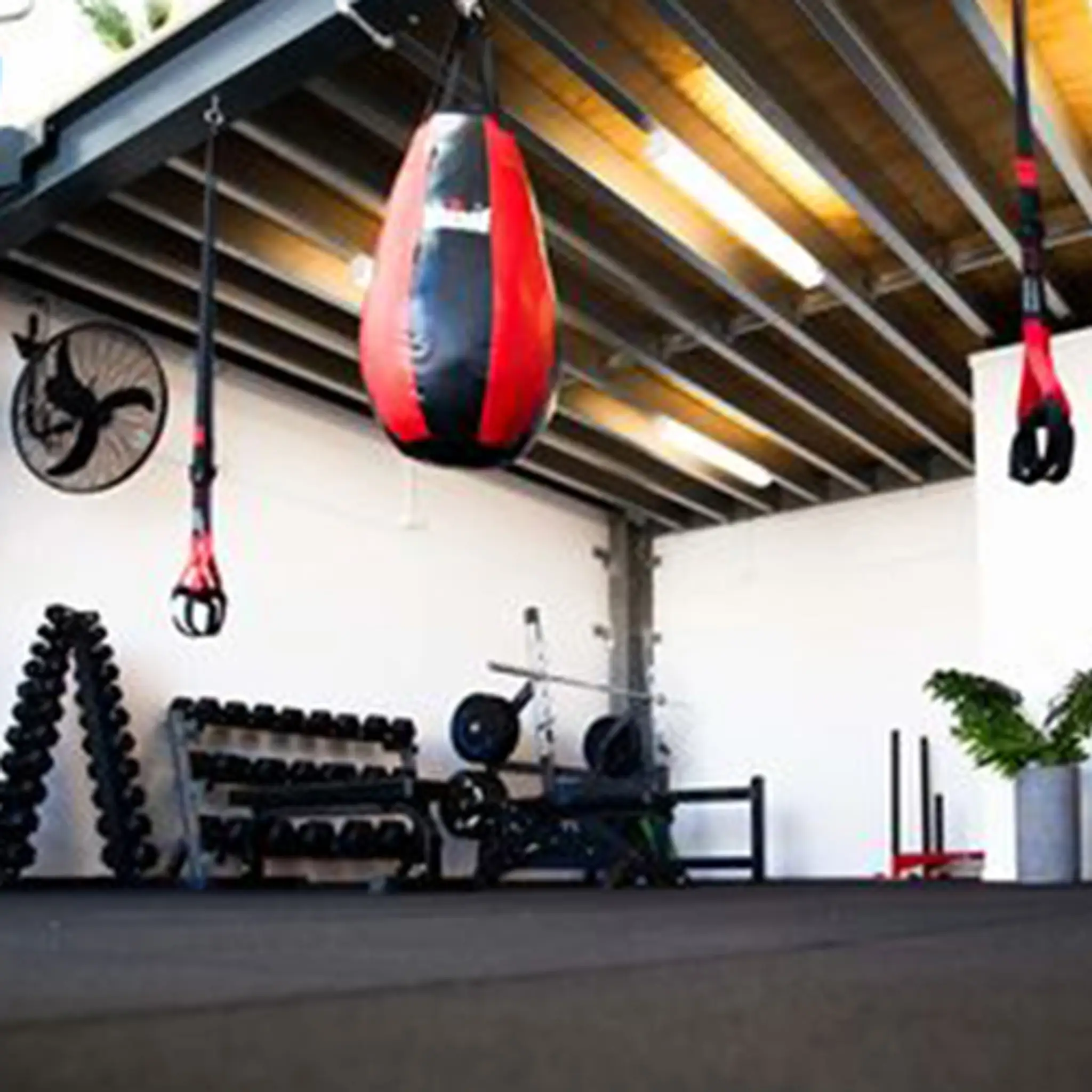 Sculpt and Flow Fitness