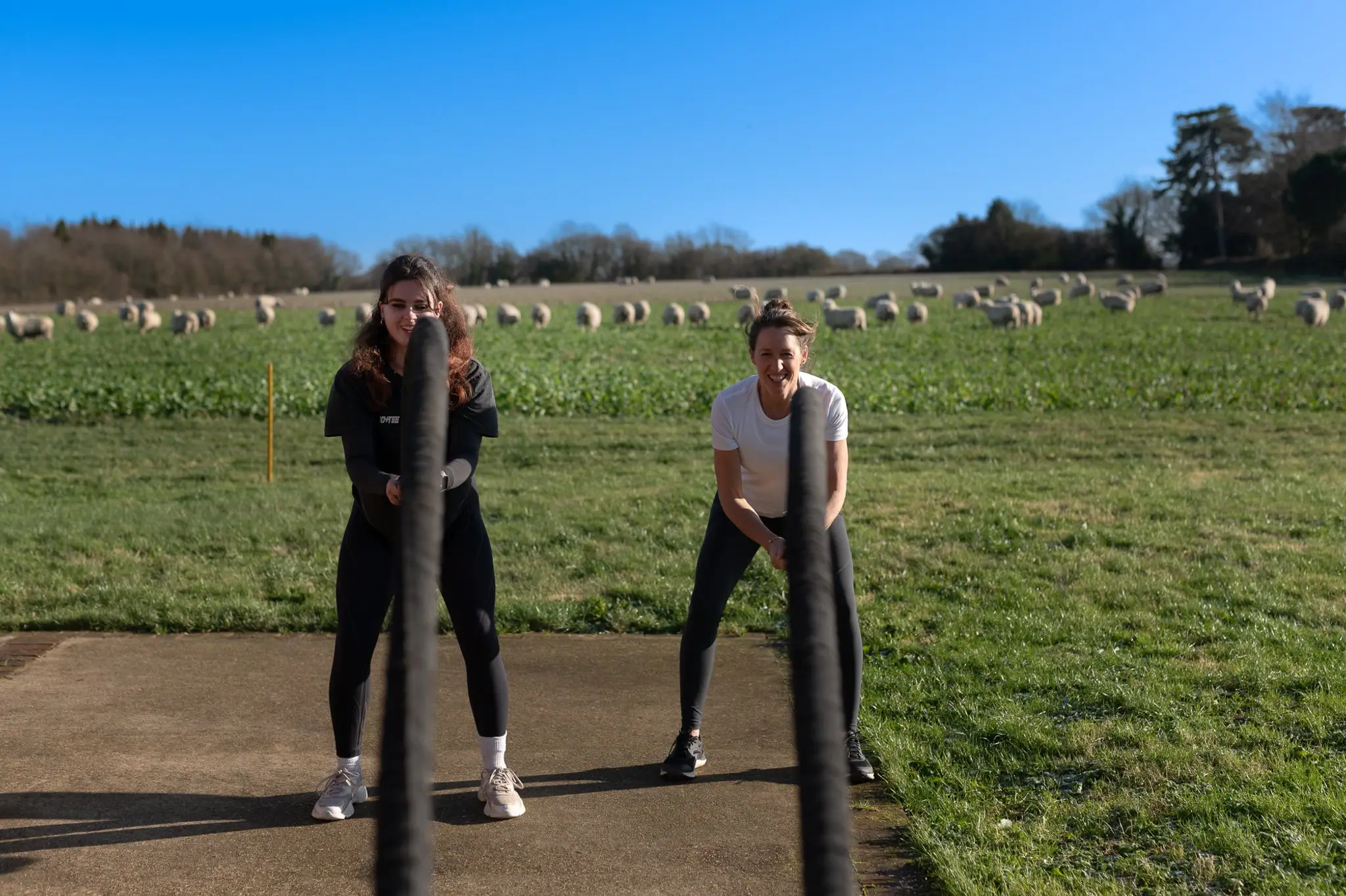 Body Conditioning - Personal Training