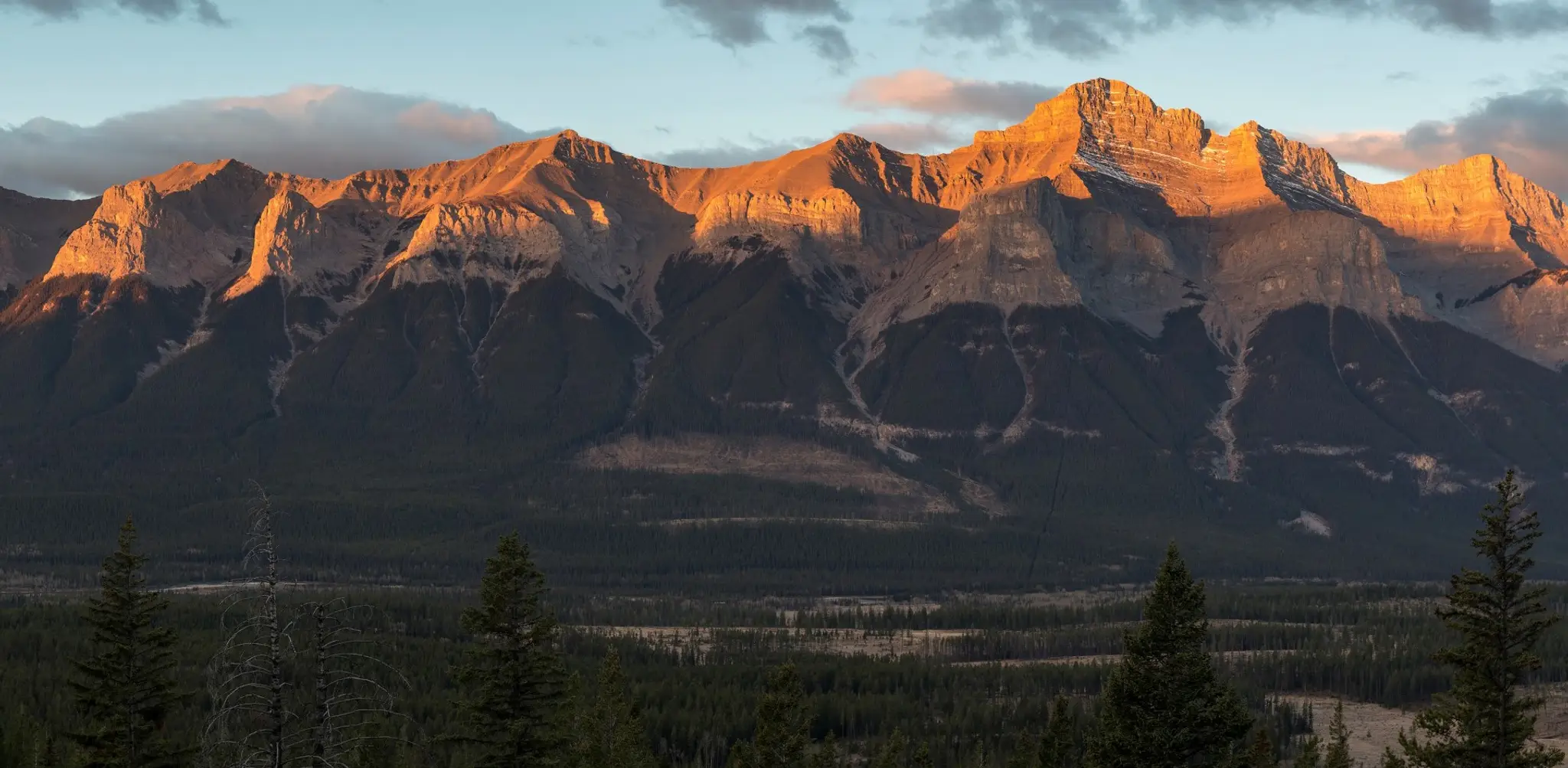 Rundle Physiotherapy