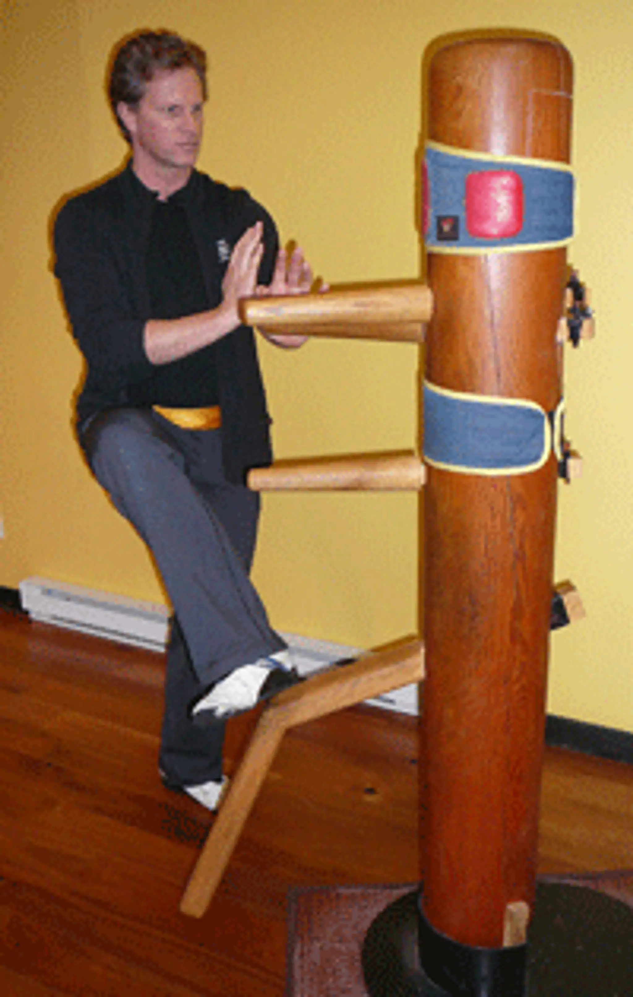 Sunny Tang Victoria Wing Chun