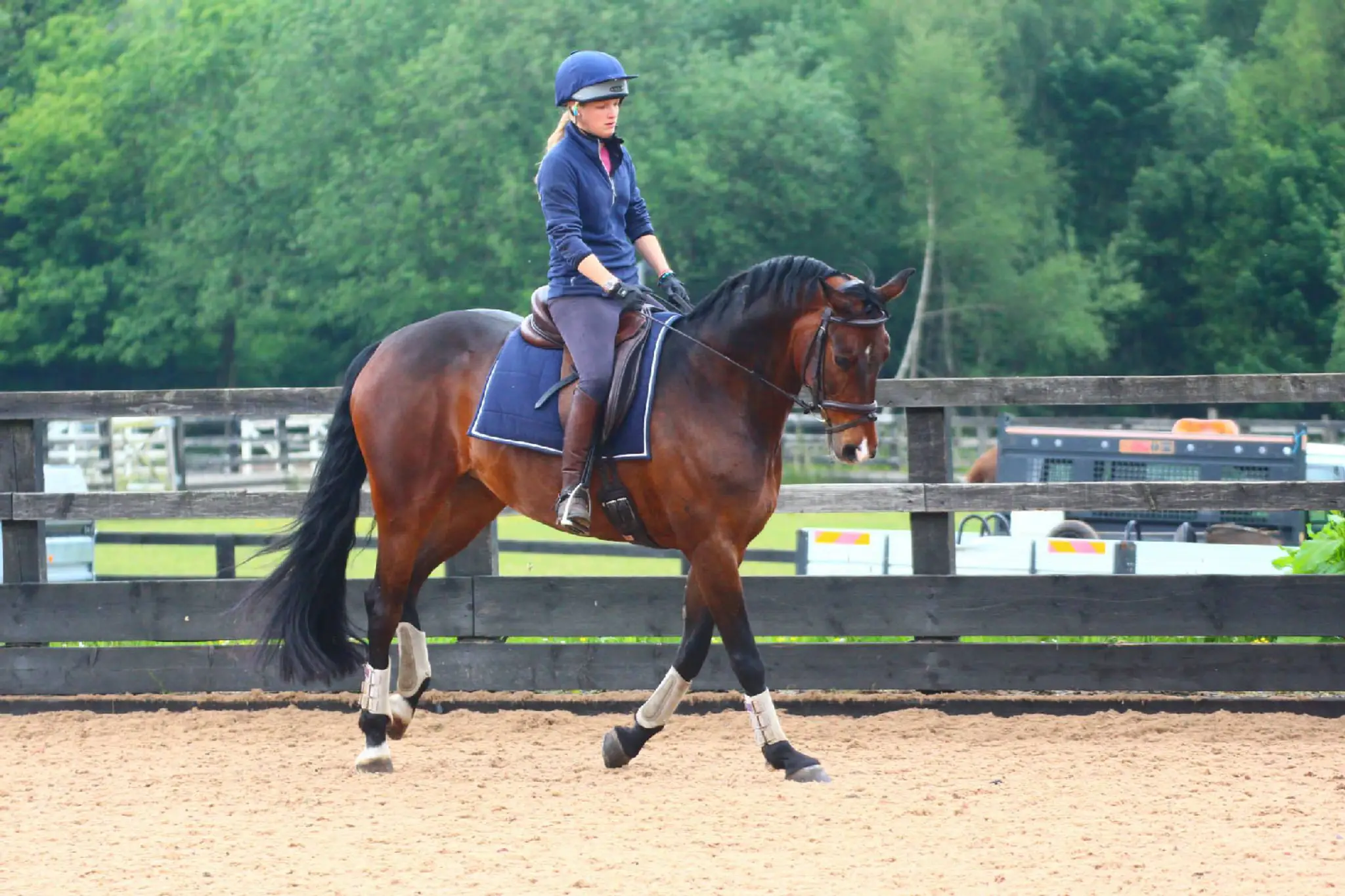 Silvermere Equestrian Centre's Riding School
