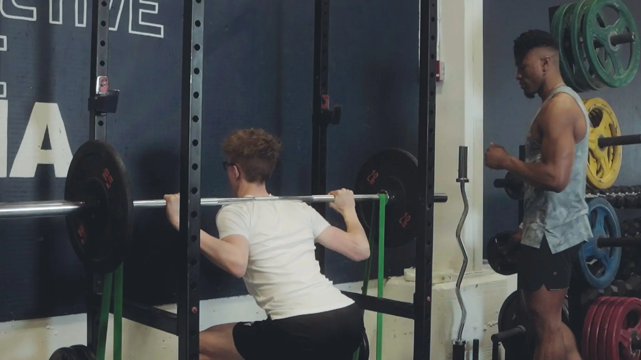 Alpha Pro Training