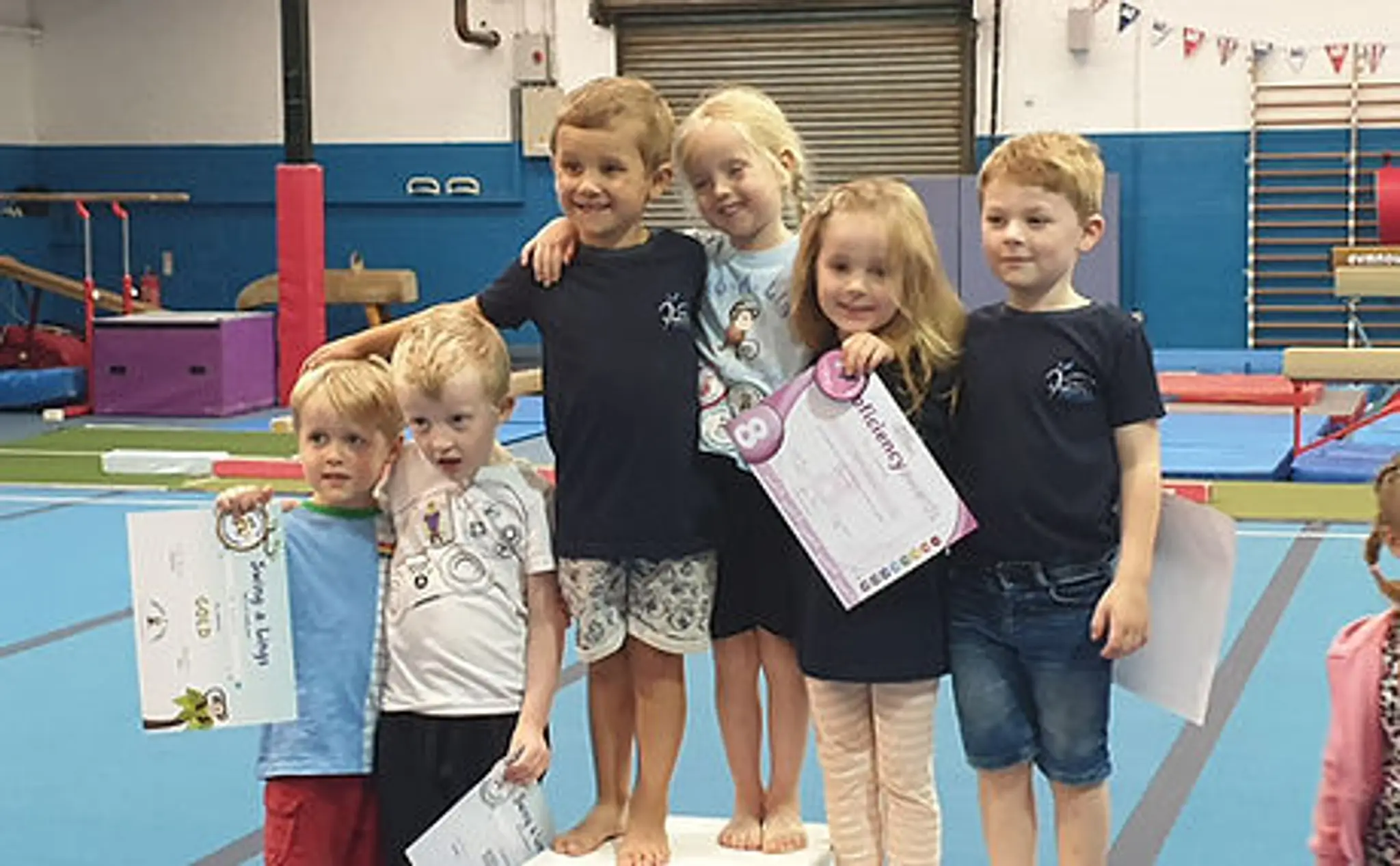 Lings Gymnastics Sports Academy