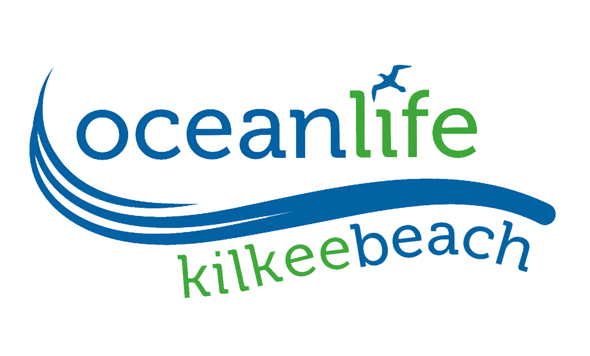 Oceanlife Dive Centre