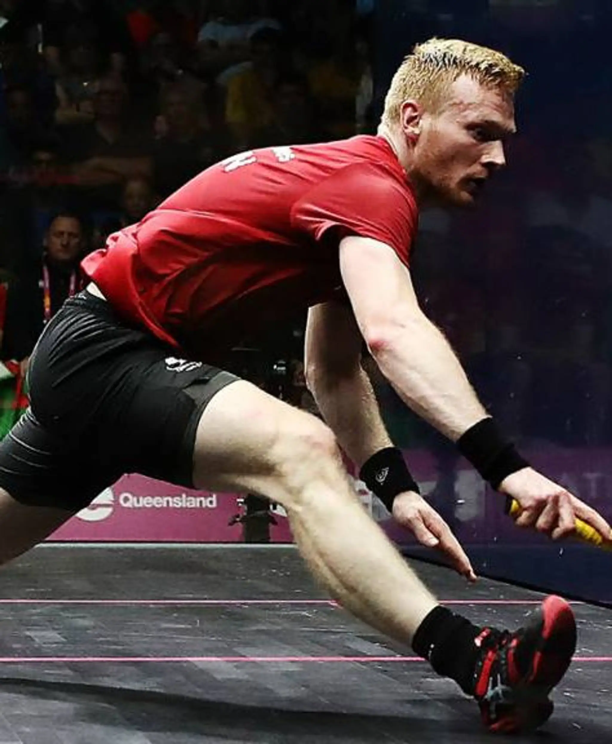 Newport Squash Rackets Club