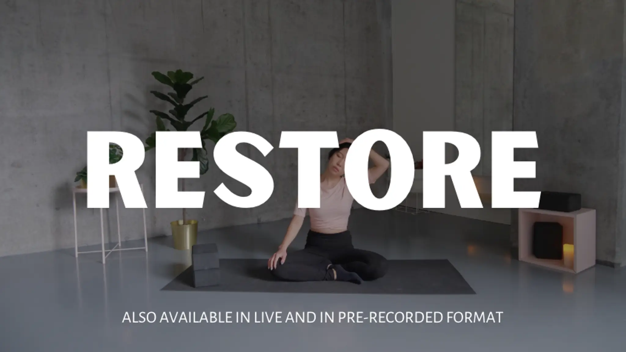 Limber Women's Fitness Studio