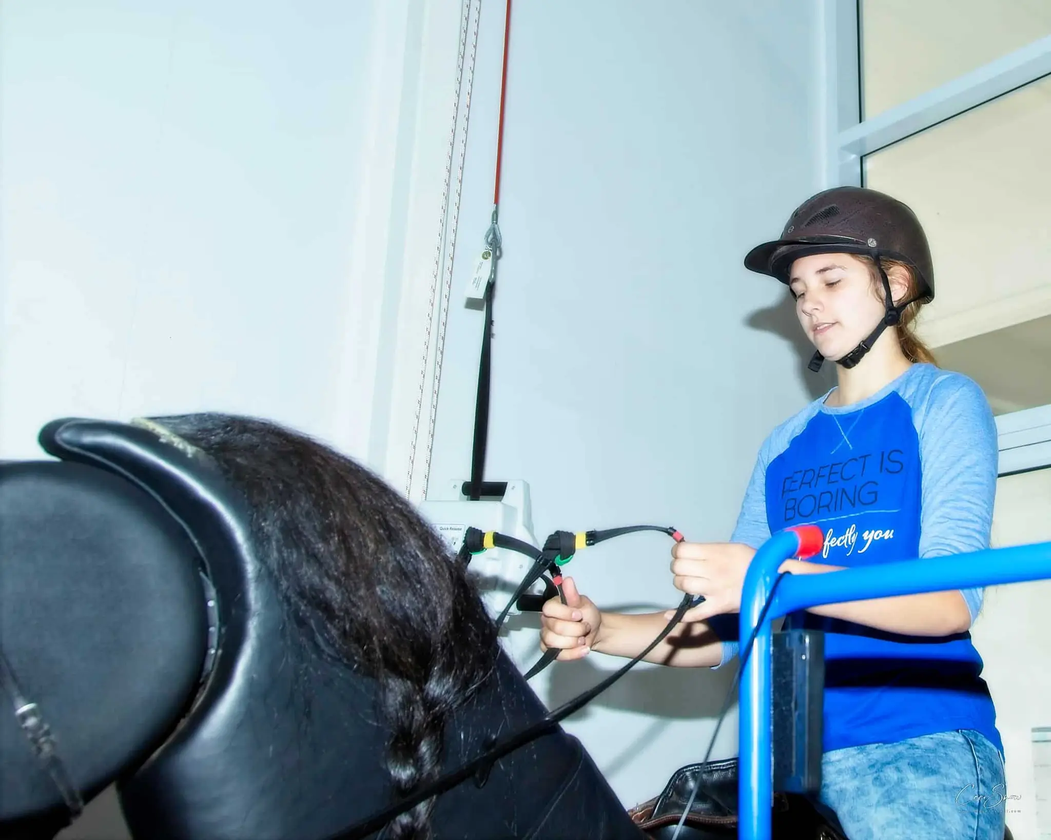 Hampton Riding Centre