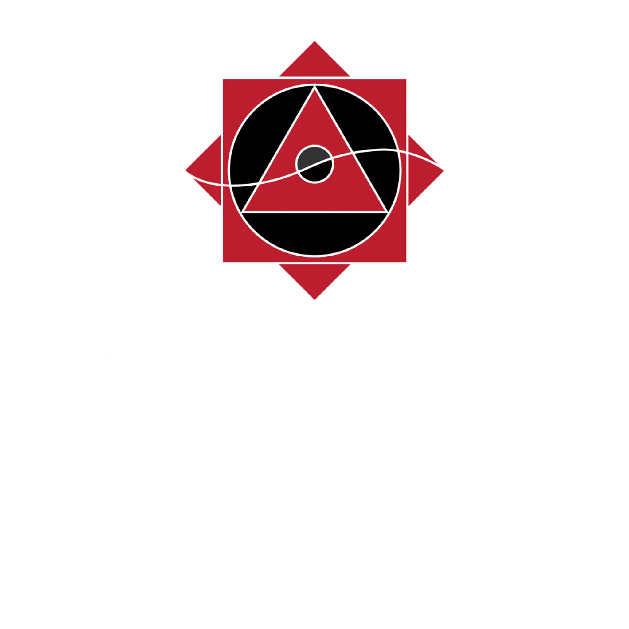 The Academy Of Martial Arts