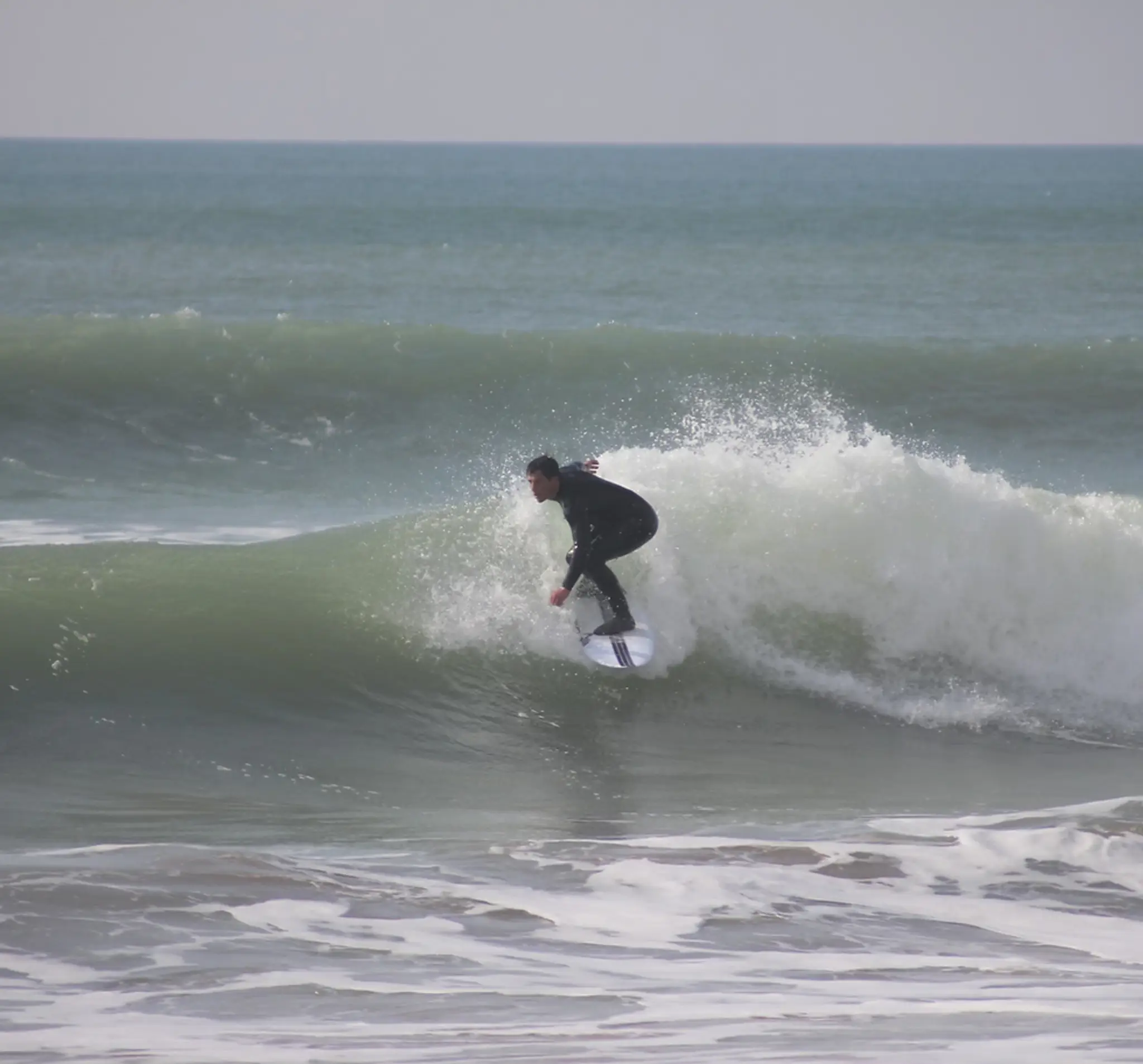 Haro Surf School
