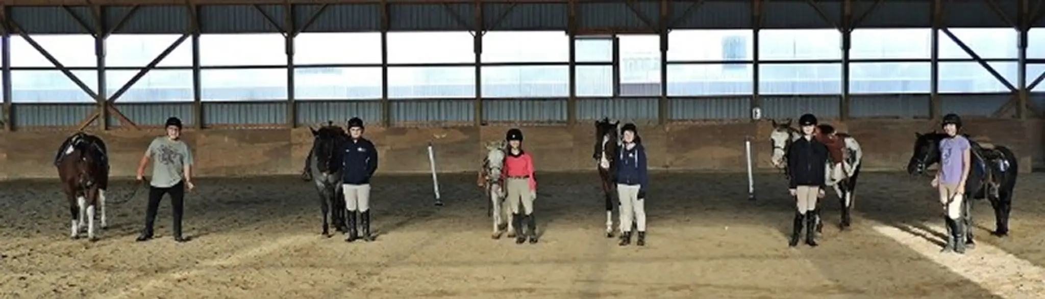 Absolute Equestrian Centre