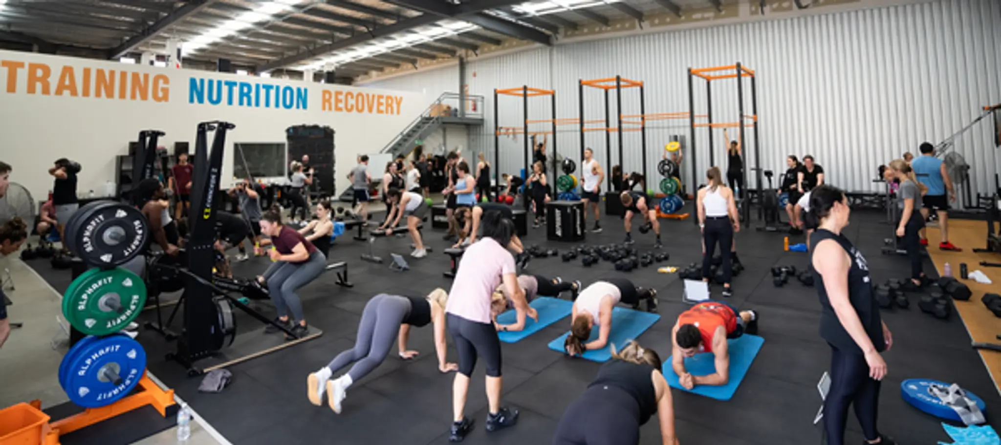 3 Pillar Coaching - Gym Adelaide