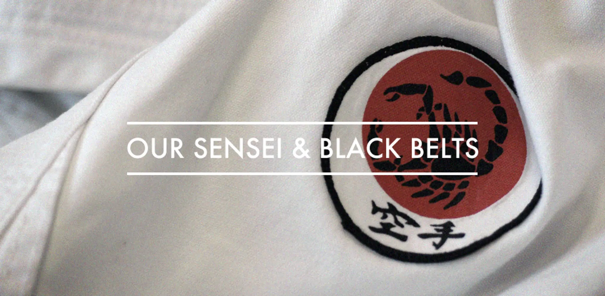 Sasori Shotokan Karate Club (Chelsea branch)