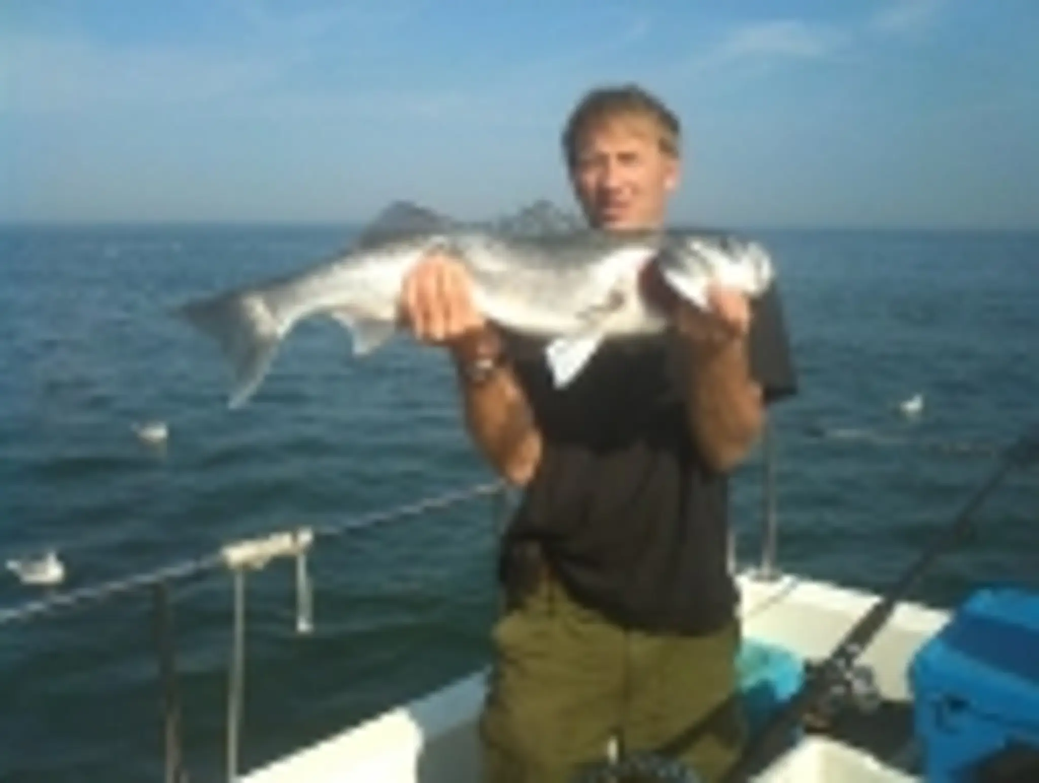 Dawn raider charters