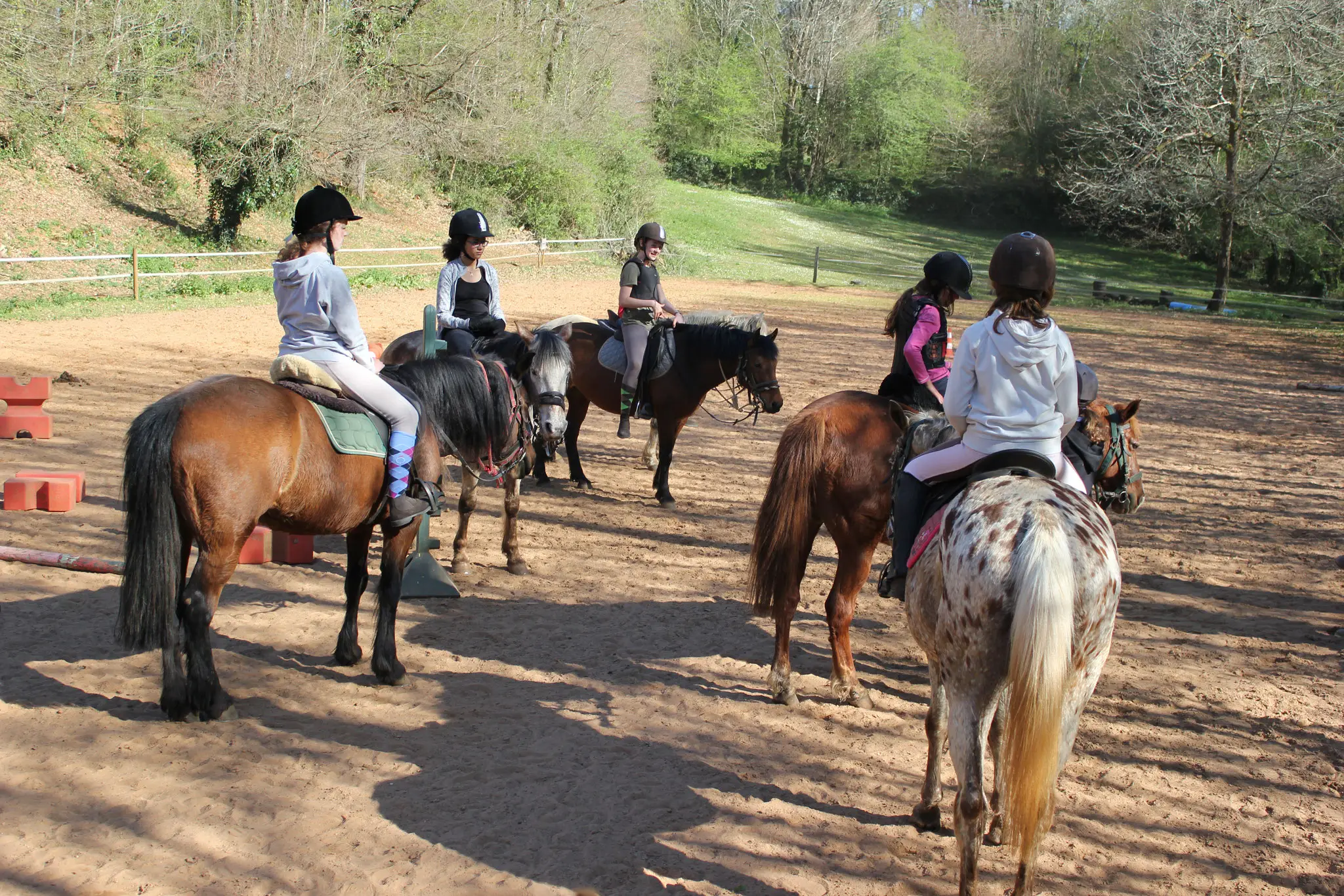 Irina's Equestrian Centre