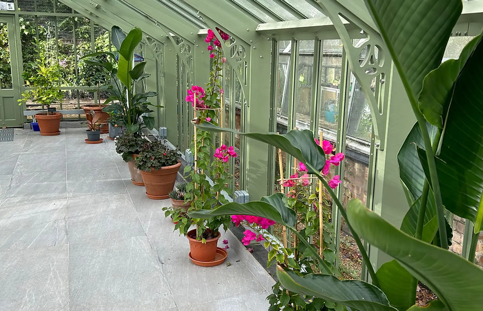 Yoga Collective London