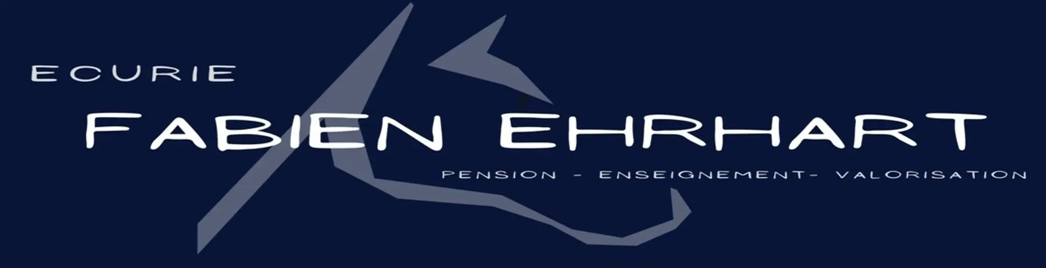 Ecurie Fabien Ehrhart - Poney Club Jumping 2001