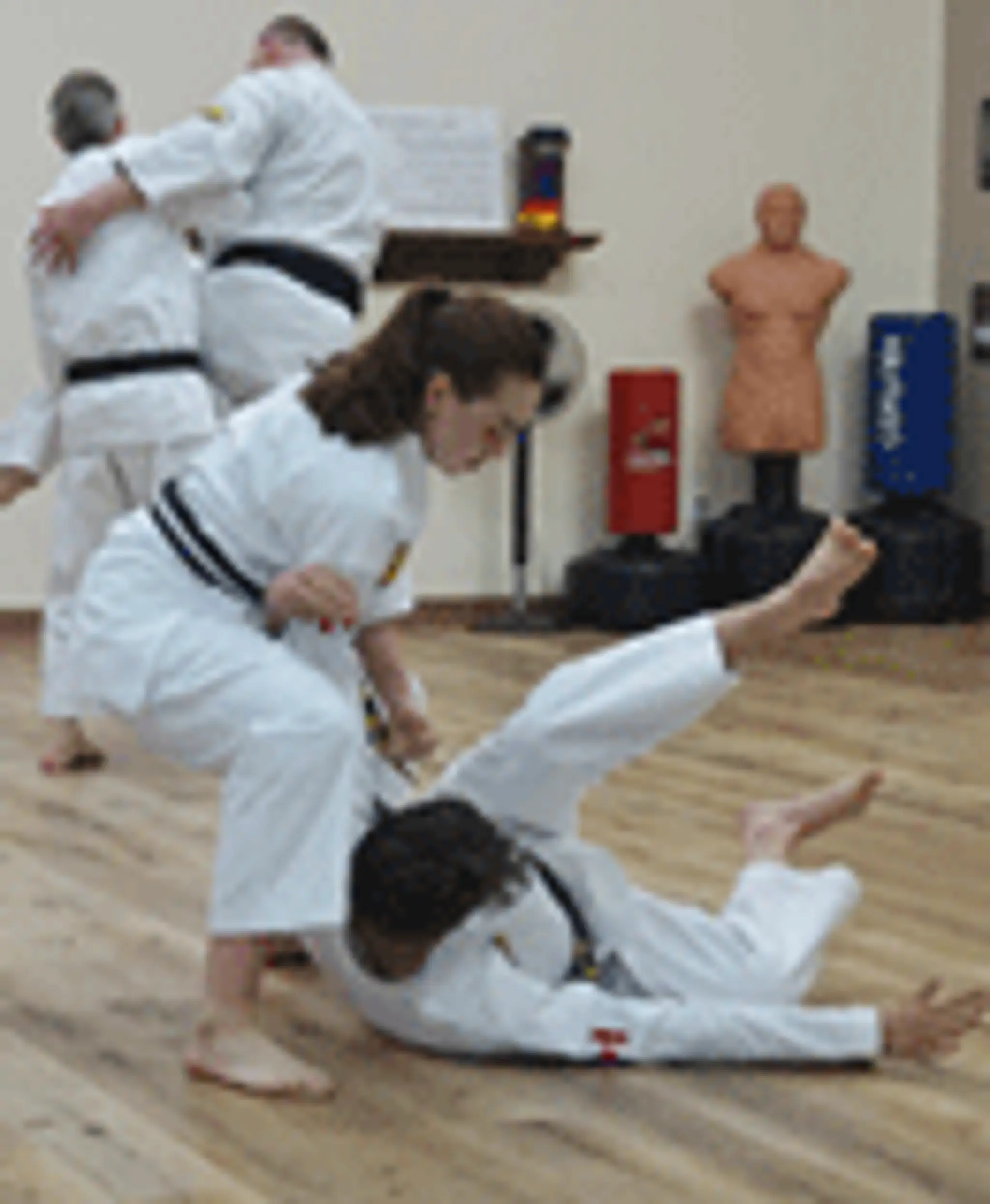 Sanshin Martial Arts