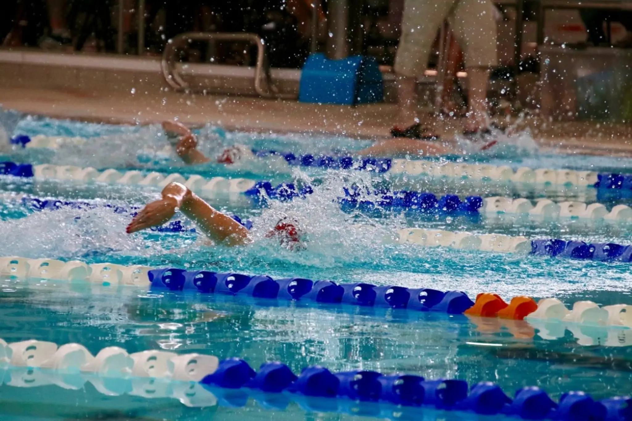 Lancaster City Amateur Swimming and Water Polo Club