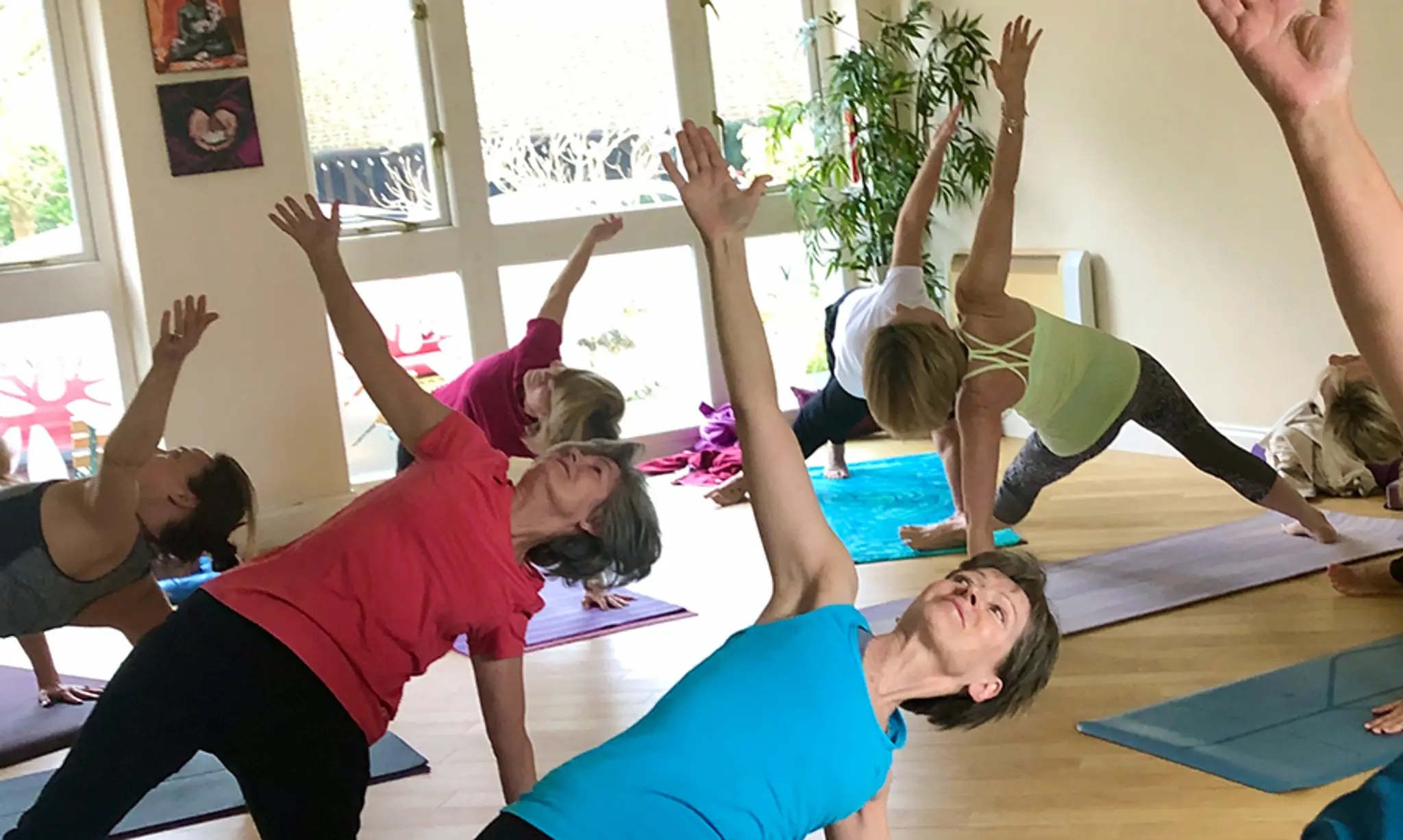 Birch Tree Yoga Studio