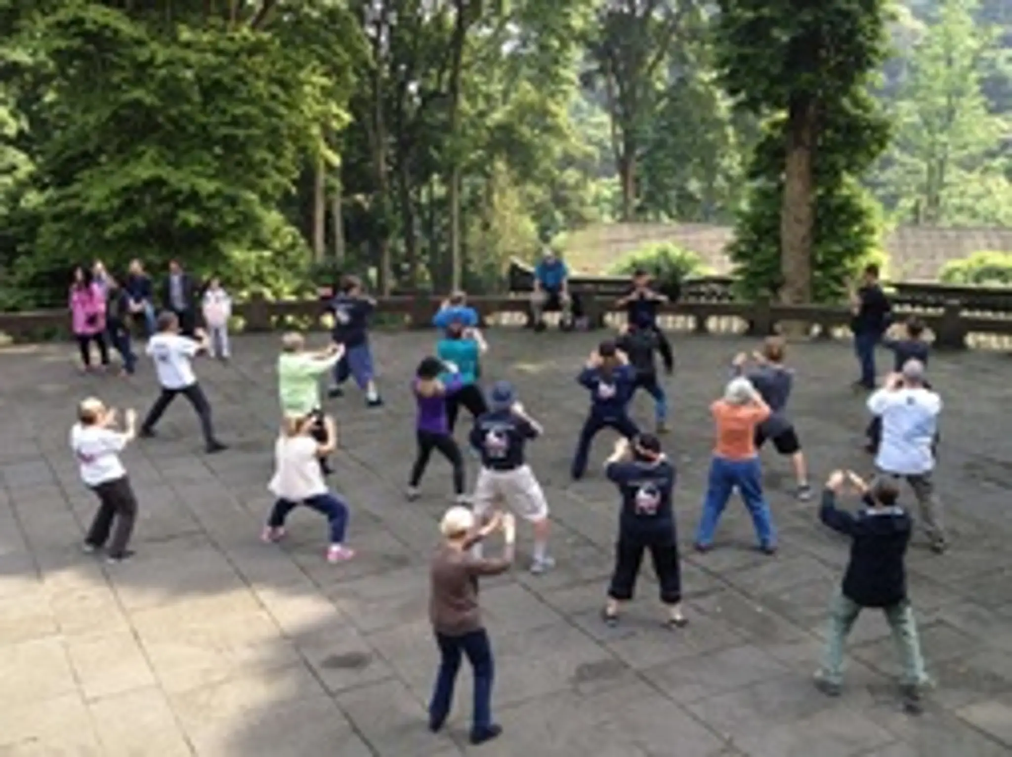 Moving Meditation School of Tai Chi and Qigong