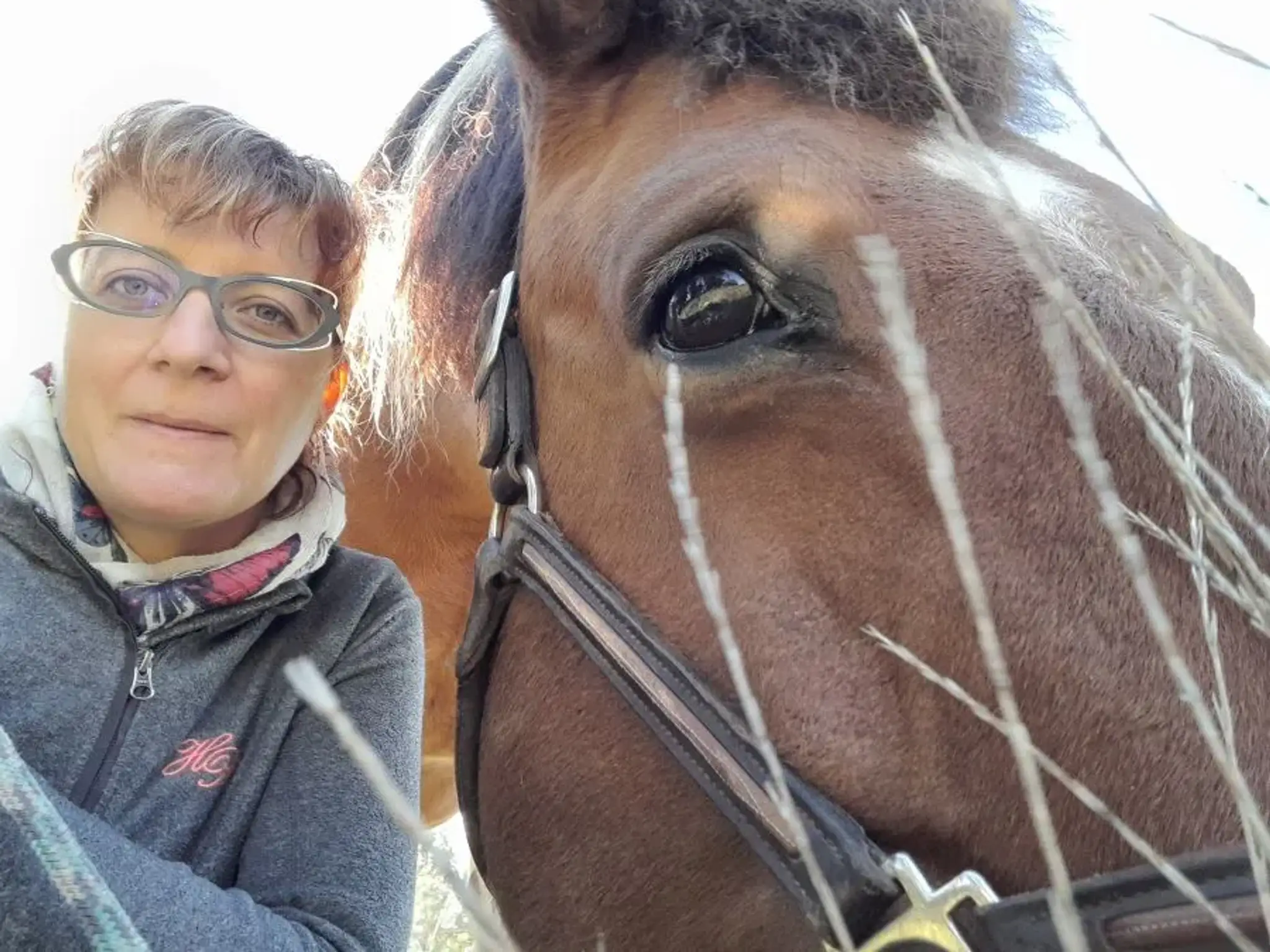 Sur Le Chemin Du Moi