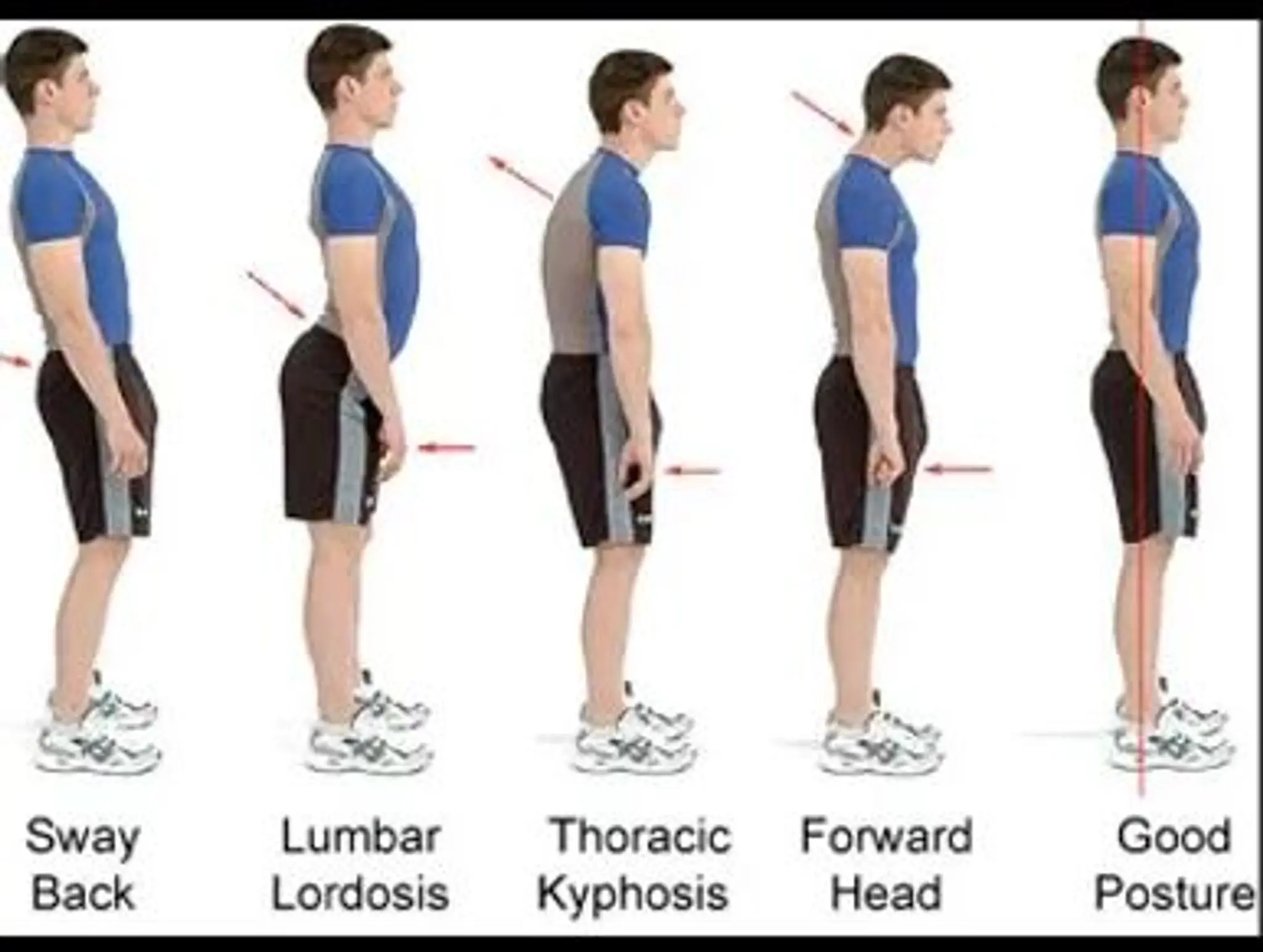 The Corrective Movement Studio