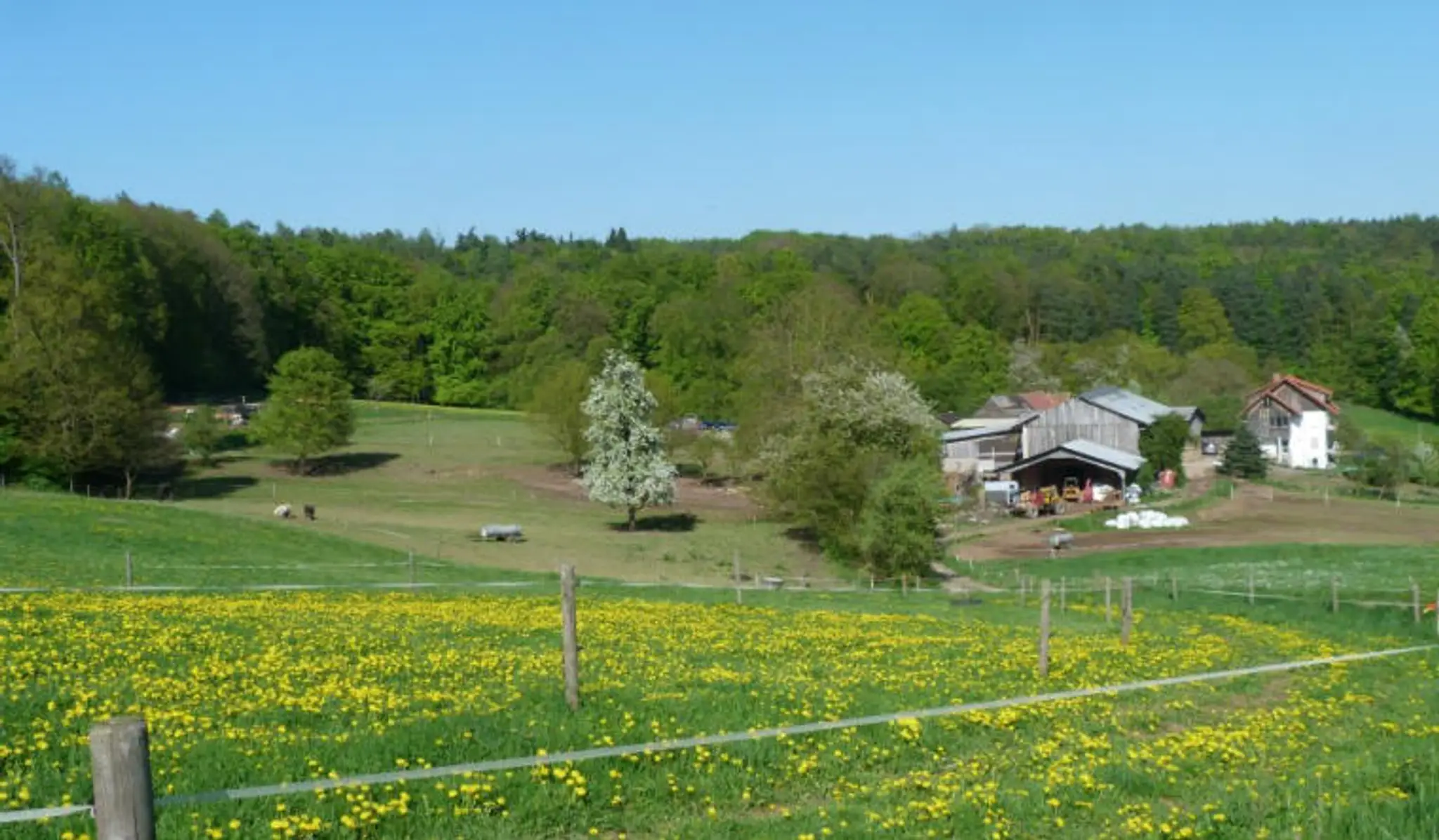 Heckenhof