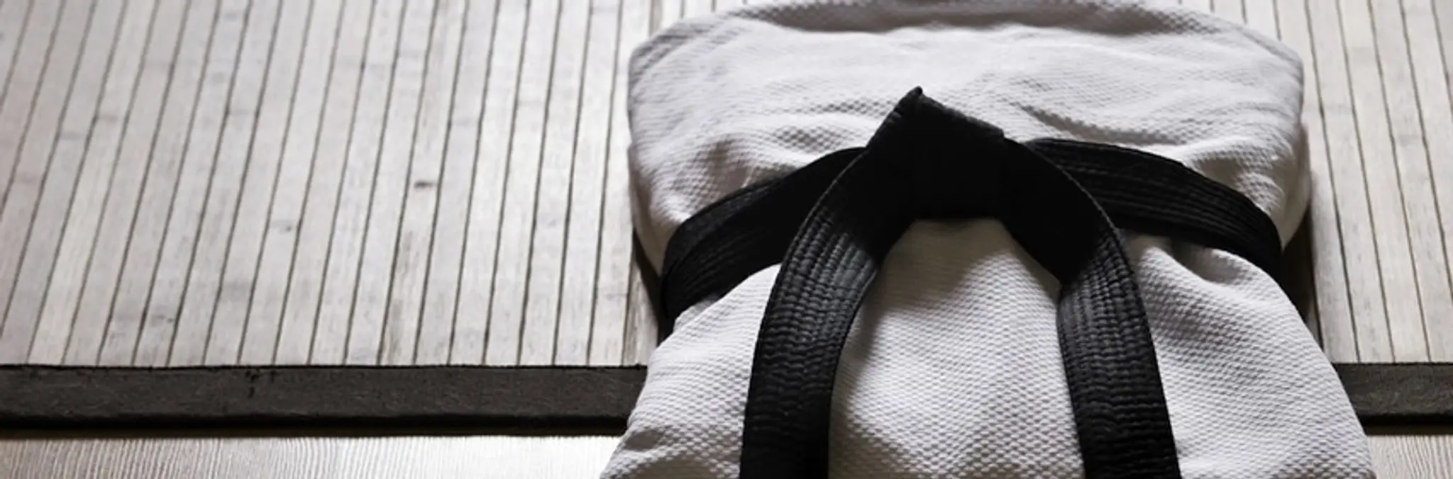 Shogun Martial Arts School