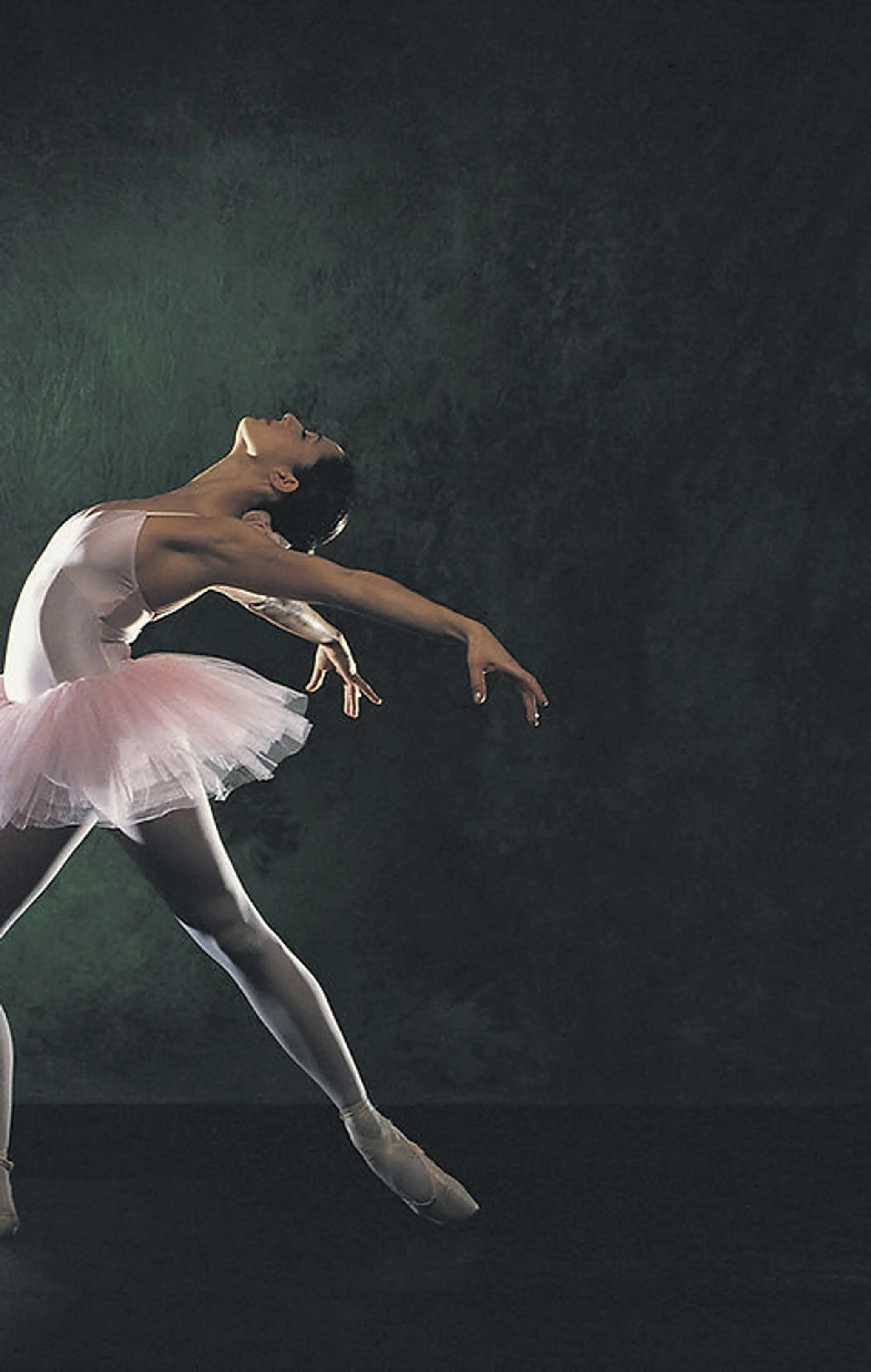 Daphn Paquette Adult Ballet Classes