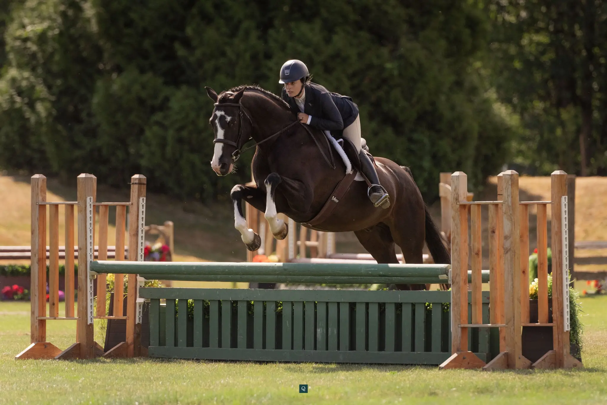 Obsidian Hunter Jumper