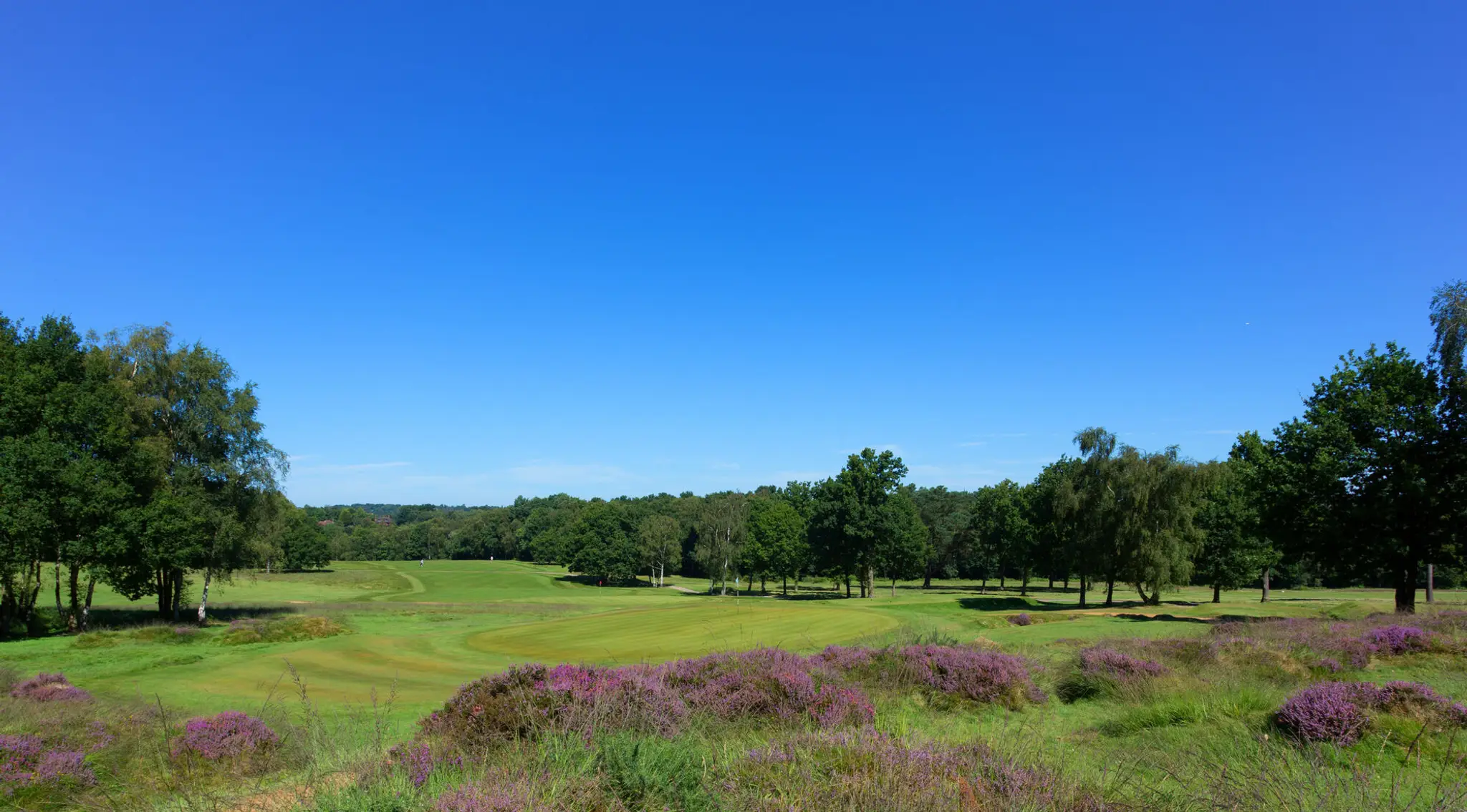 Royal Ashdown Forest Golf Club