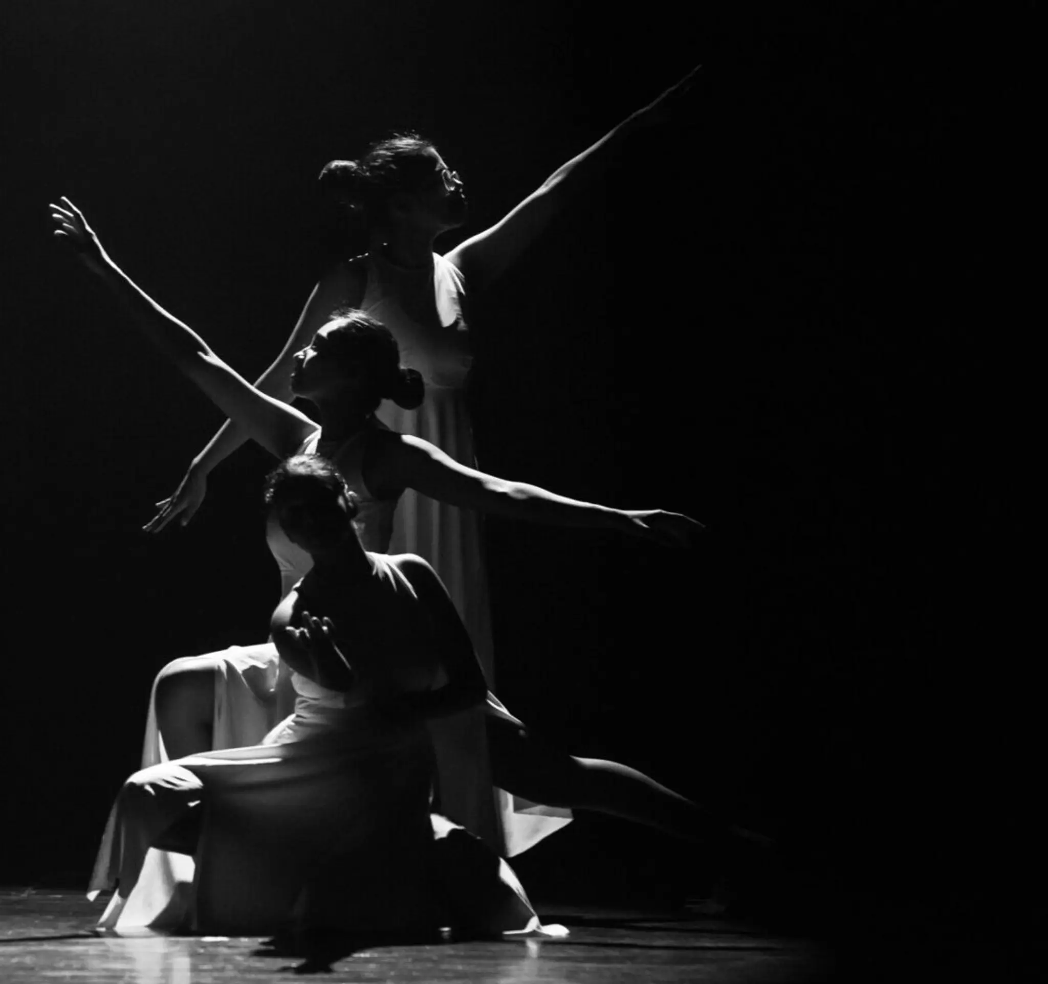 Shenvi School Of Dance