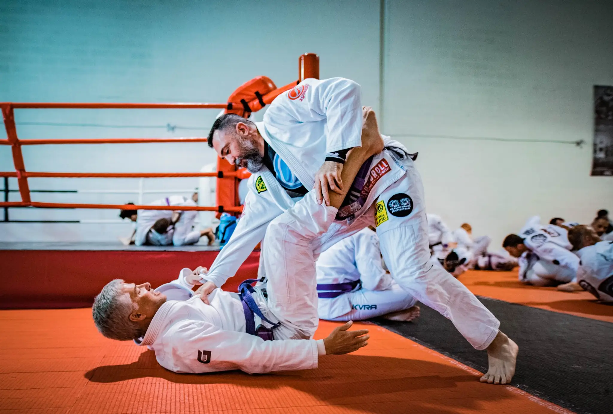 Action & Reaction MMA Inc.